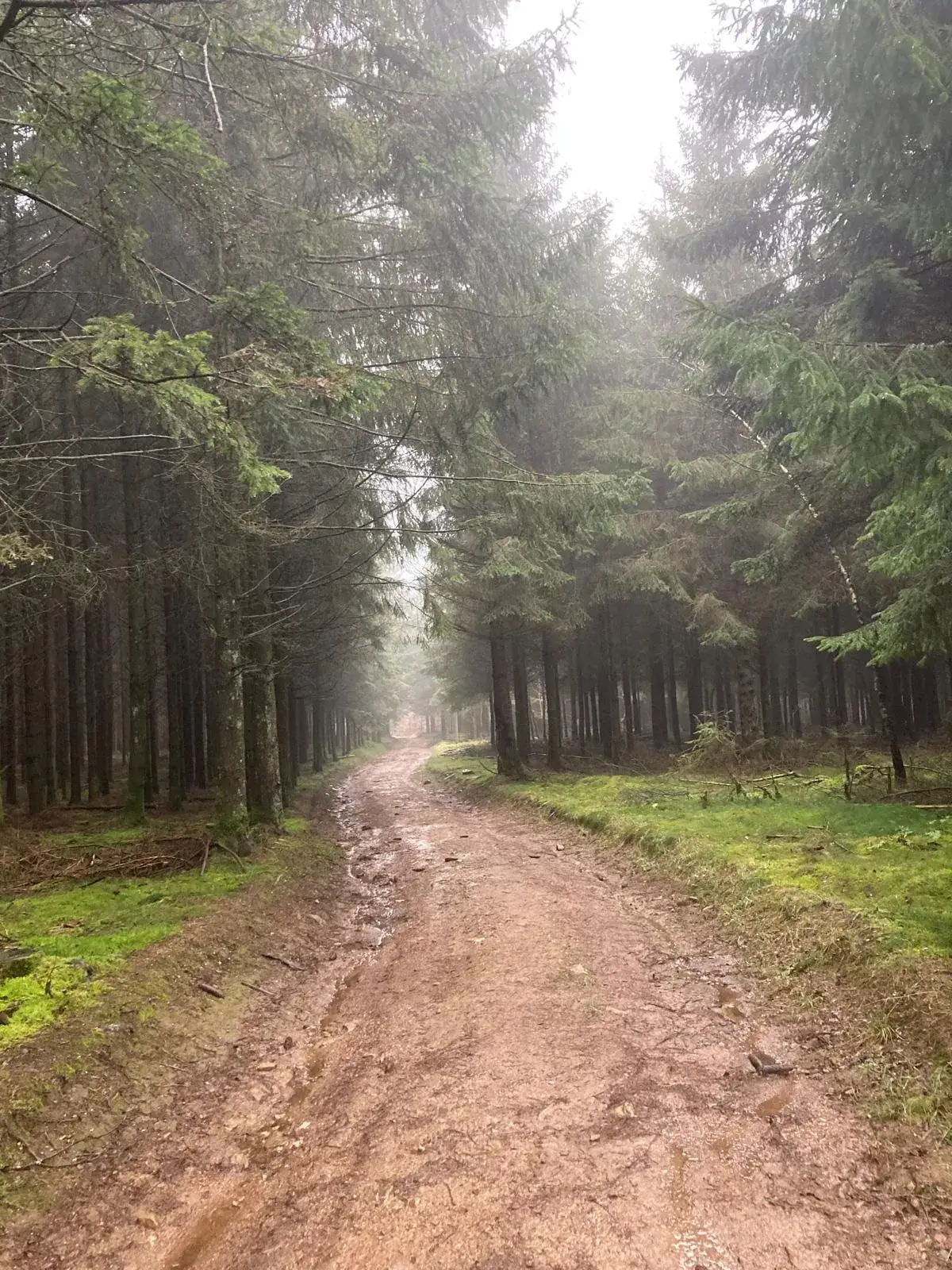 Wandeling afbeelding