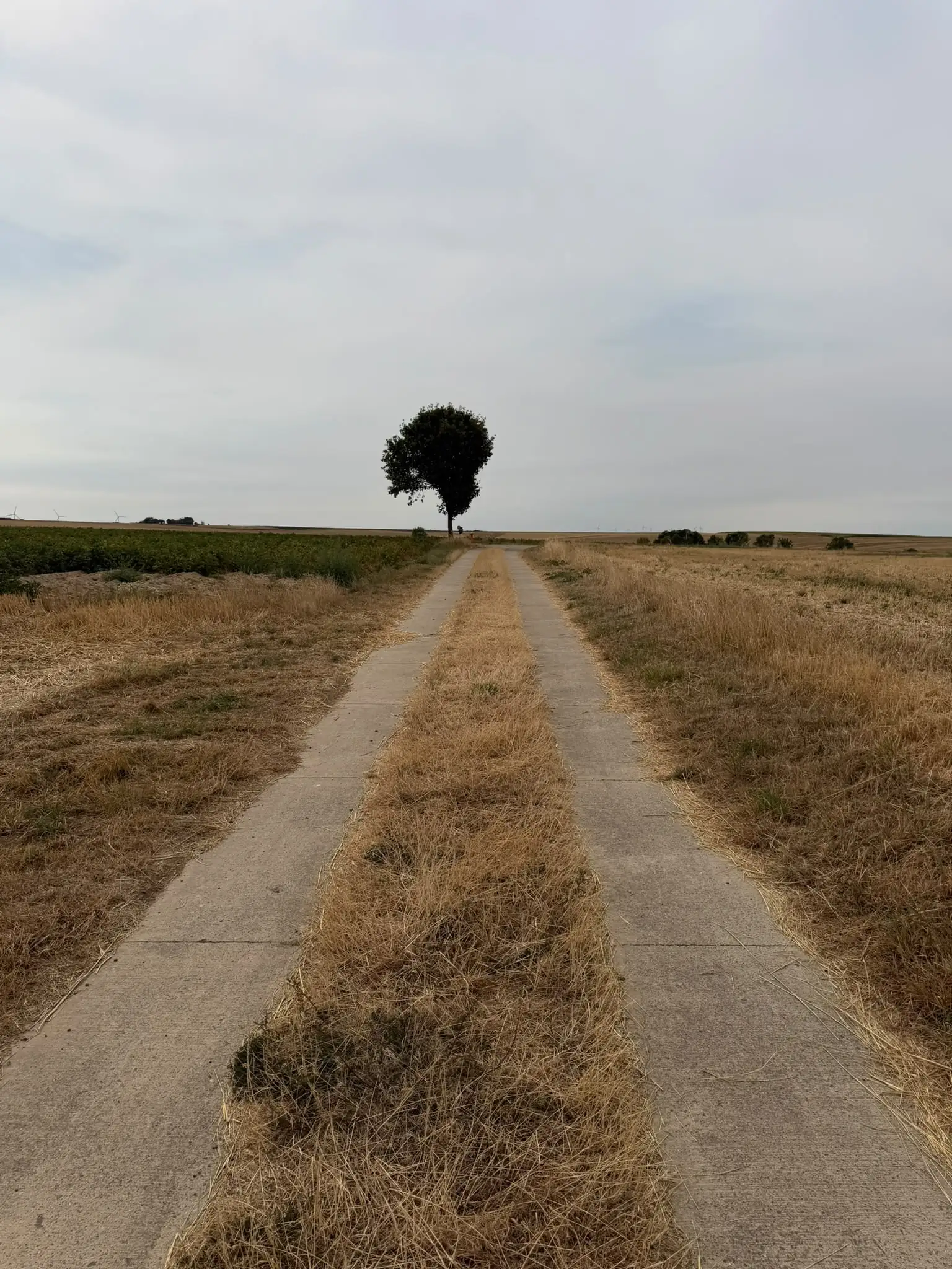Wandeling afbeelding