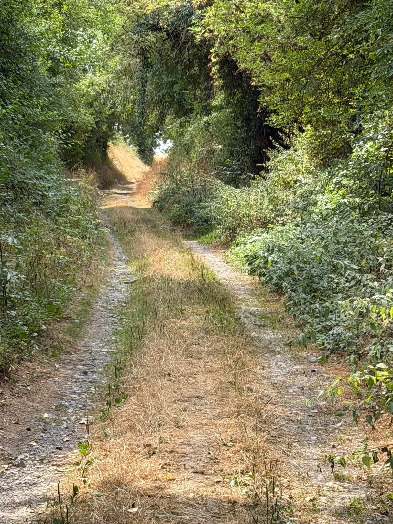 Wandeling afbeelding