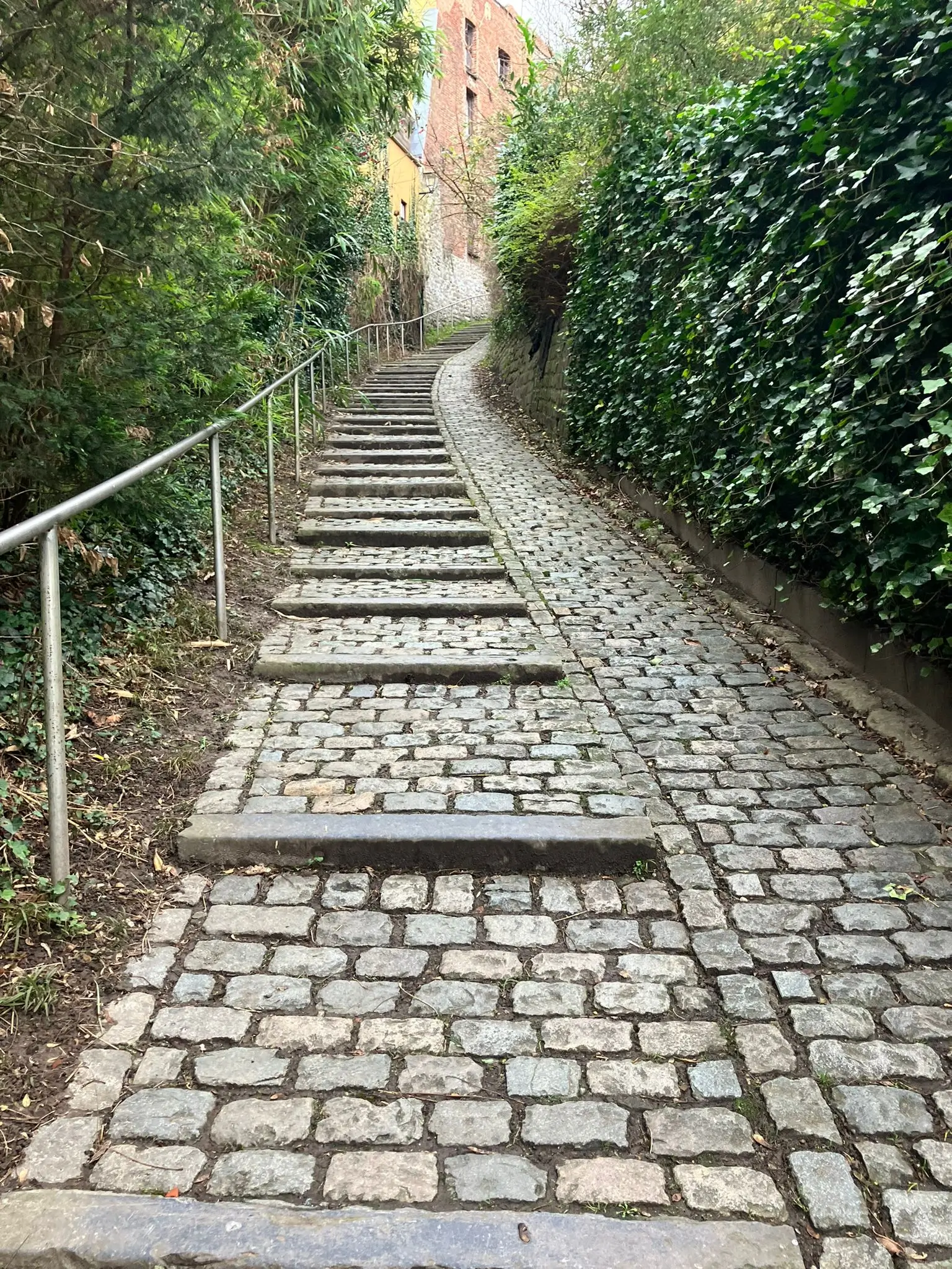 Wandeling afbeelding