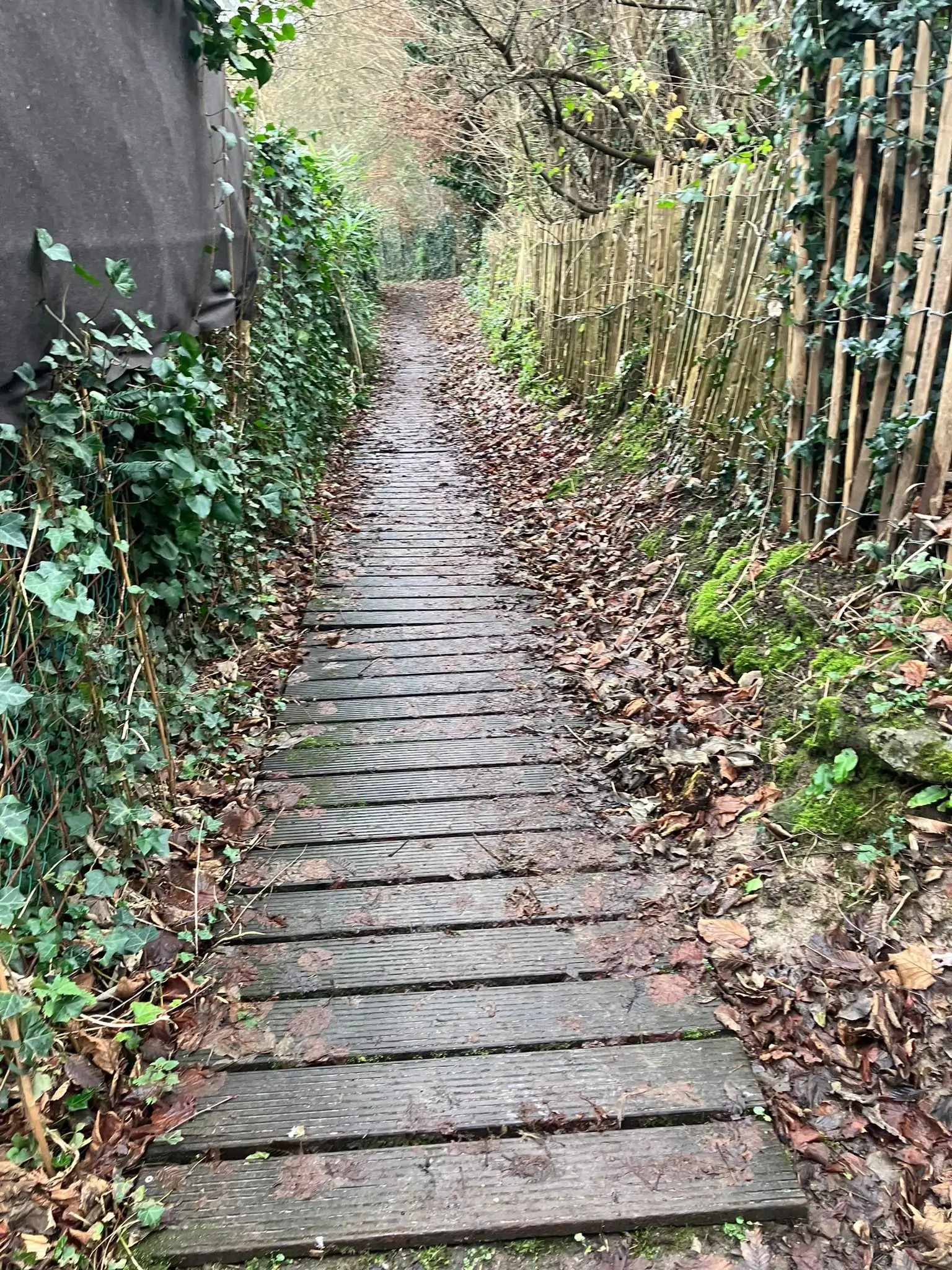 Wandeling afbeelding