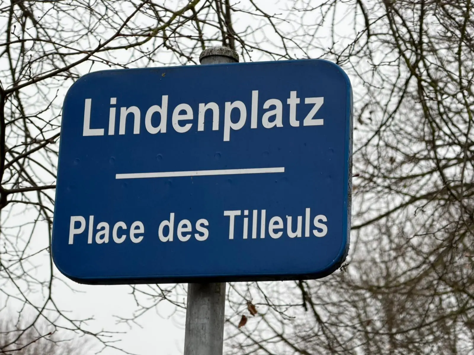Wandeling afbeelding