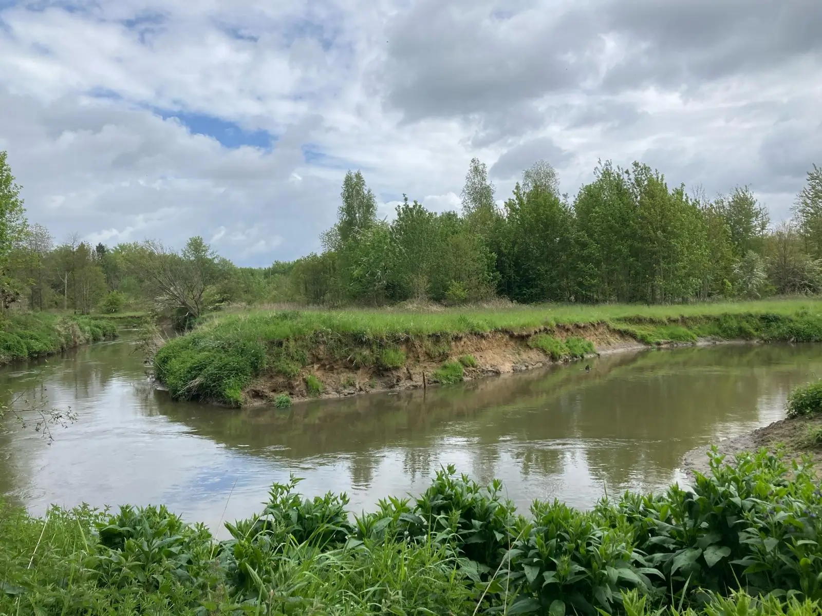 Wandeling afbeelding