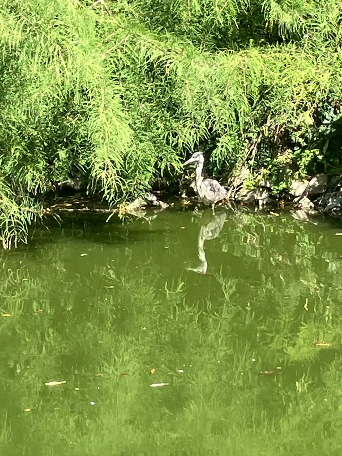 Foto 4 van de wandeling te Lunchwandeling 5