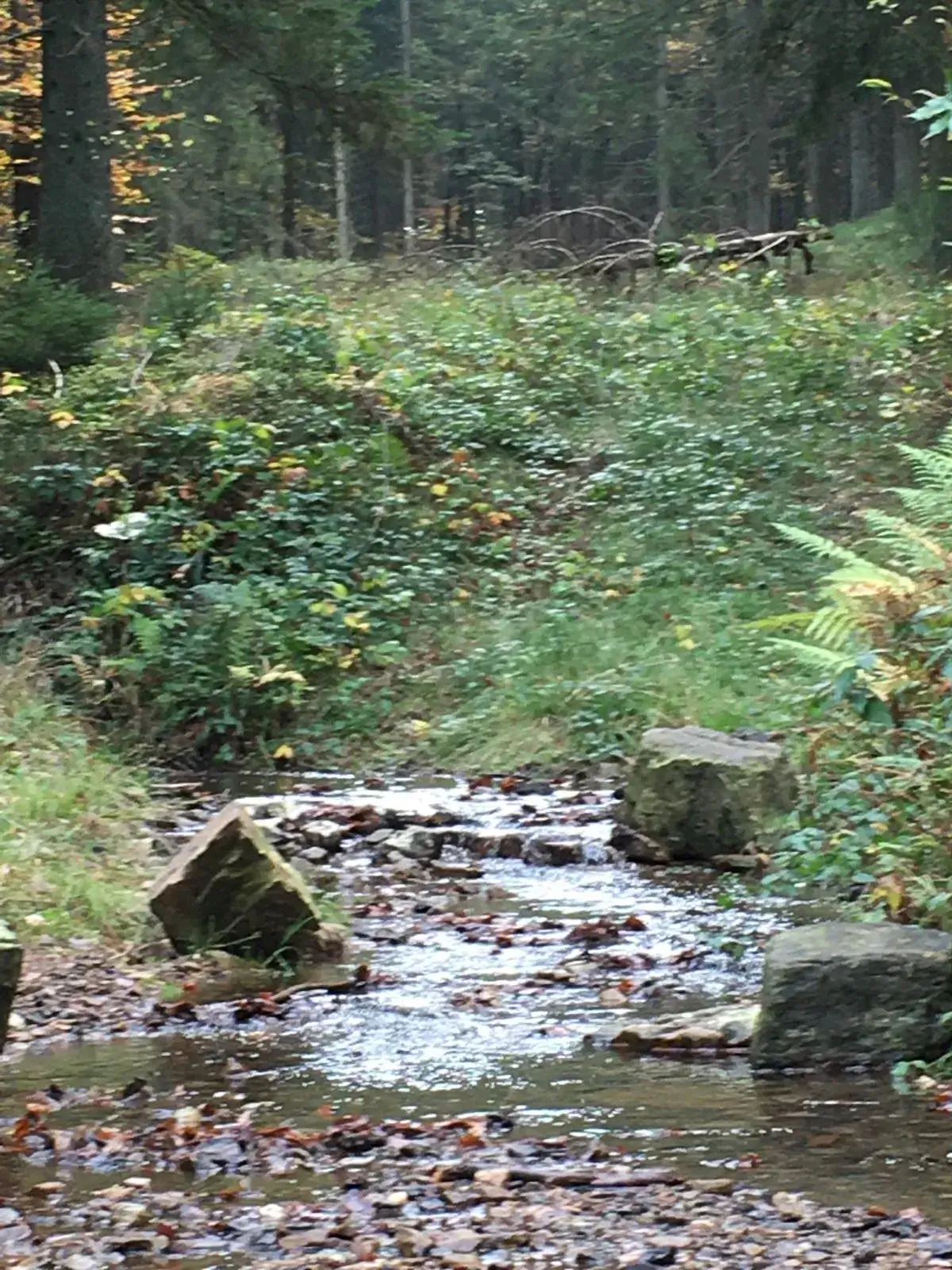 Wandeling afbeelding