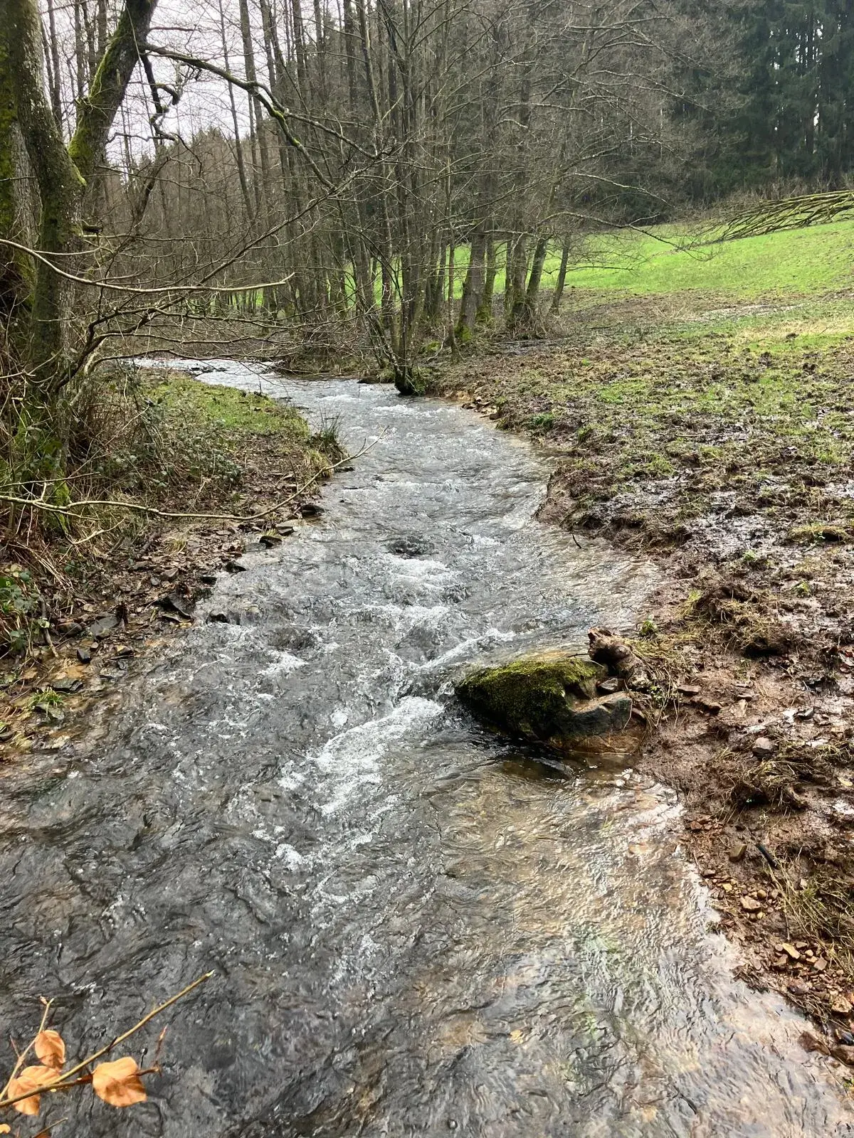Wandeling afbeelding