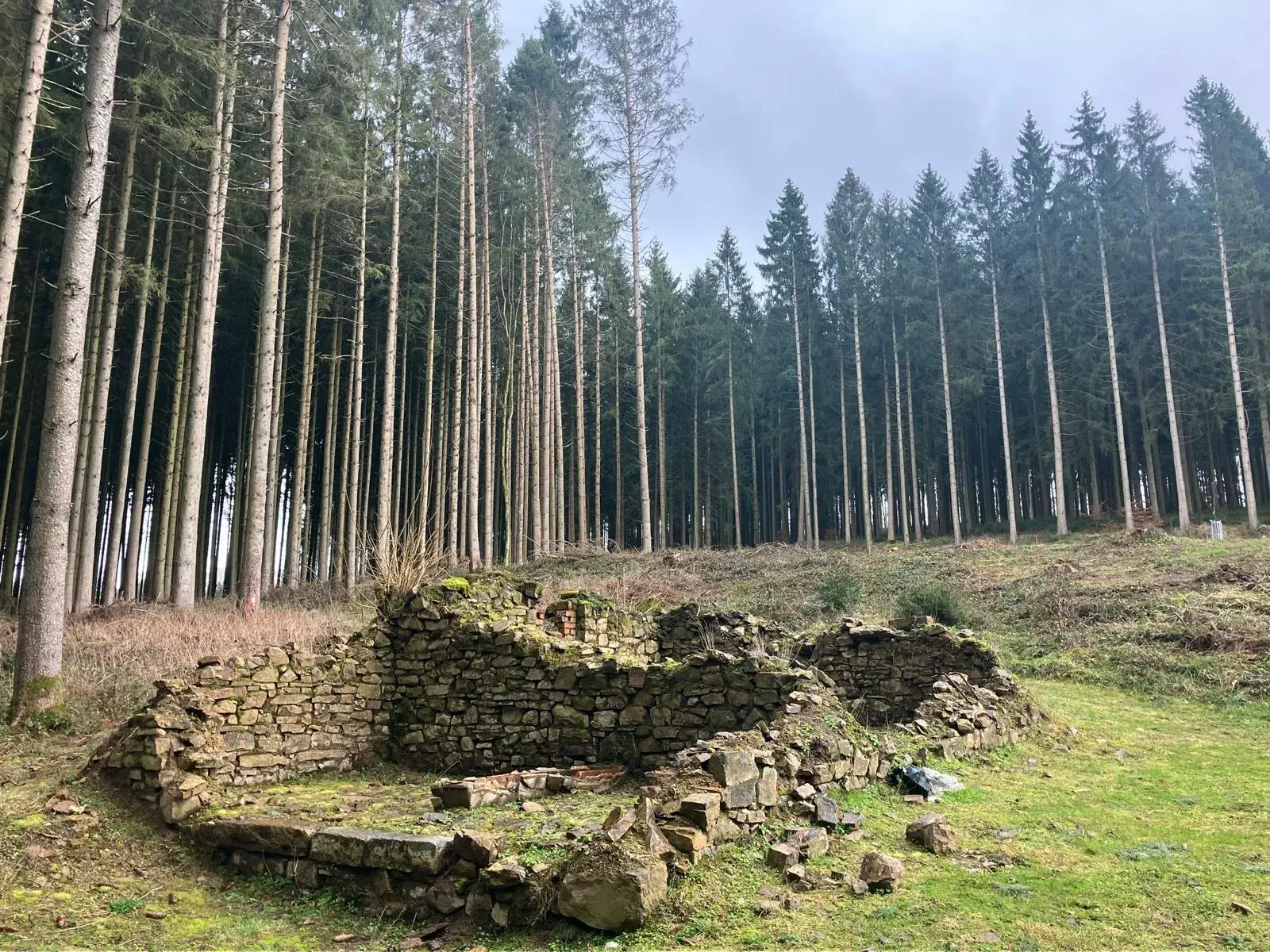 Wandeling afbeelding