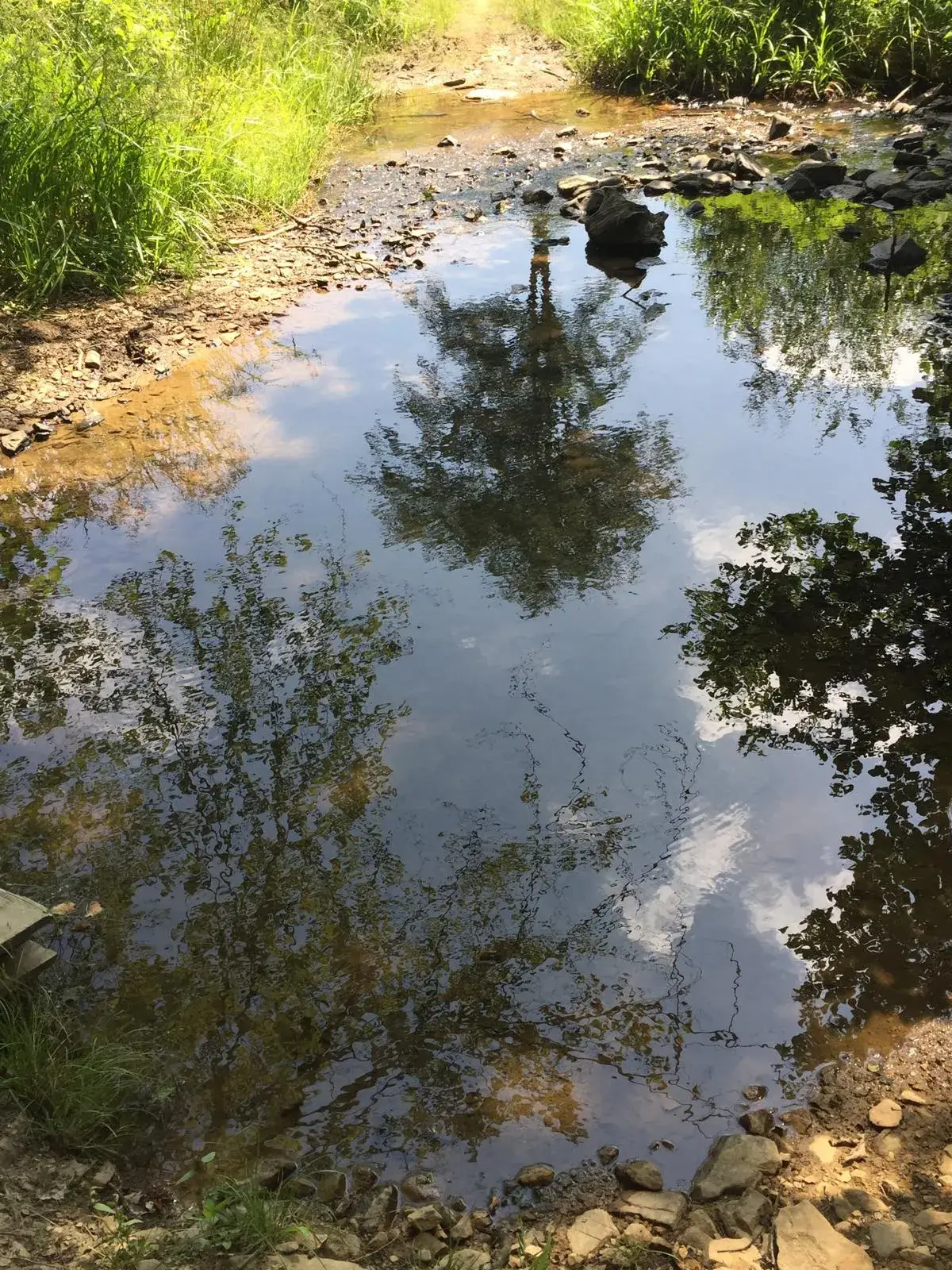 Wandeling afbeelding