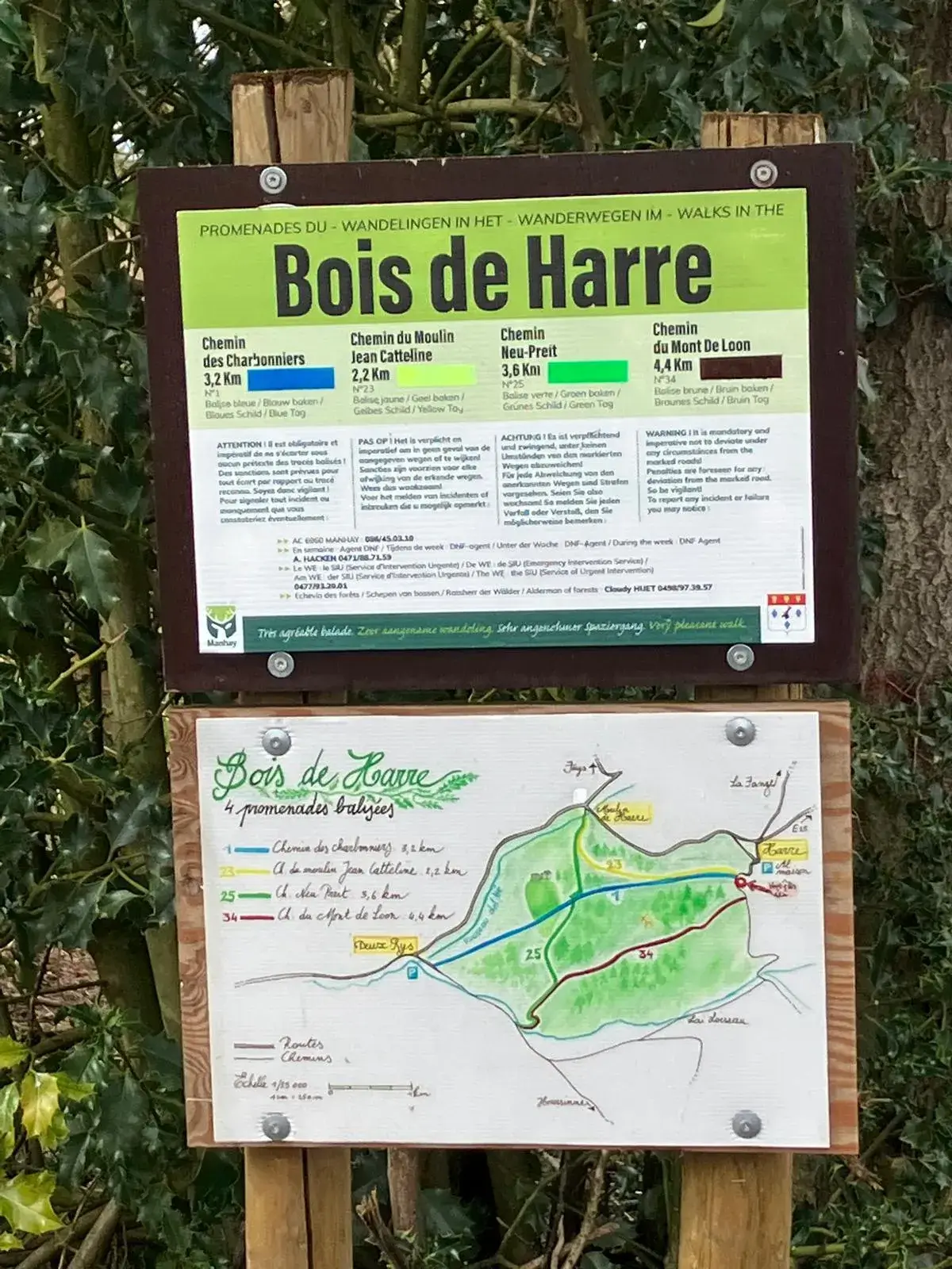 Wandeling afbeelding