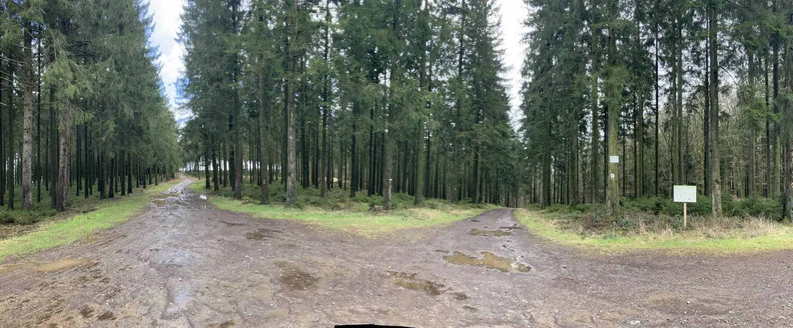 Wandeling afbeelding
