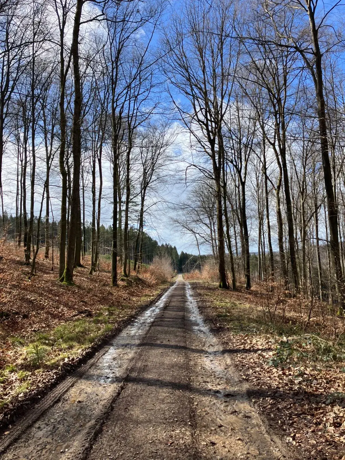Wandeling afbeelding