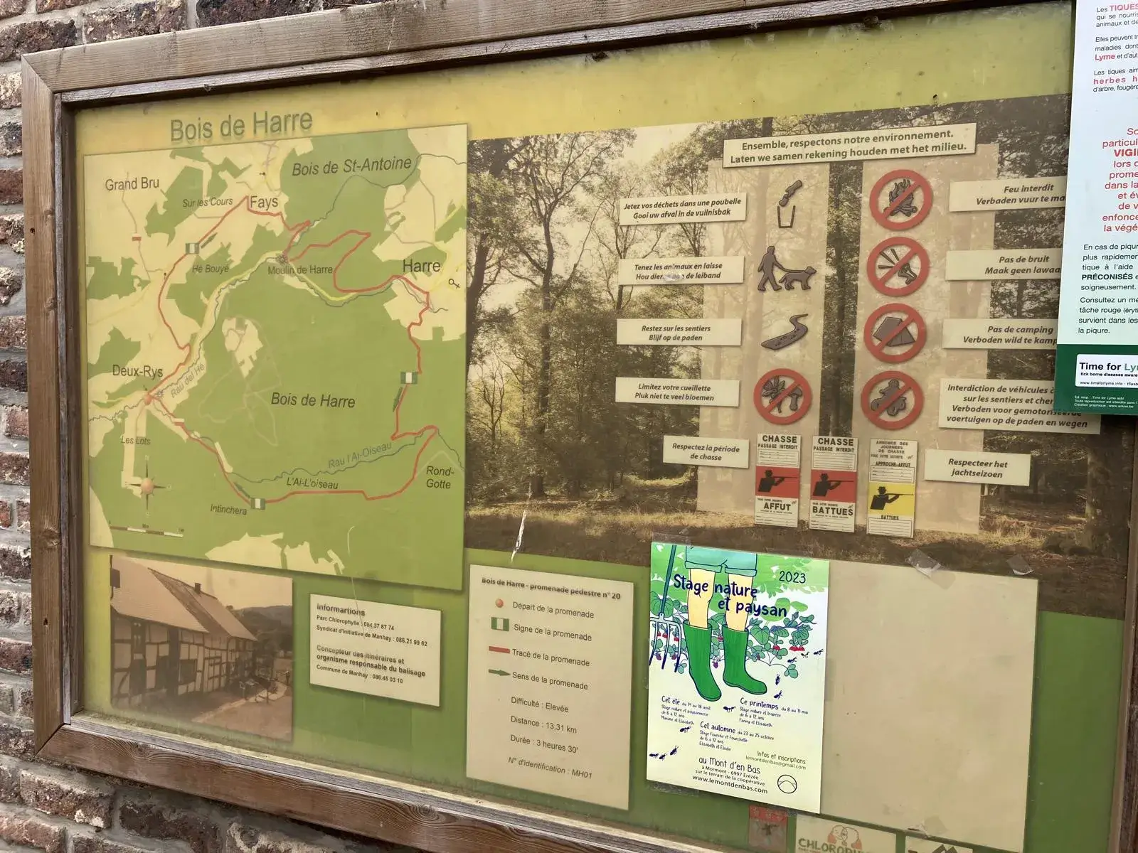 Wandeling afbeelding