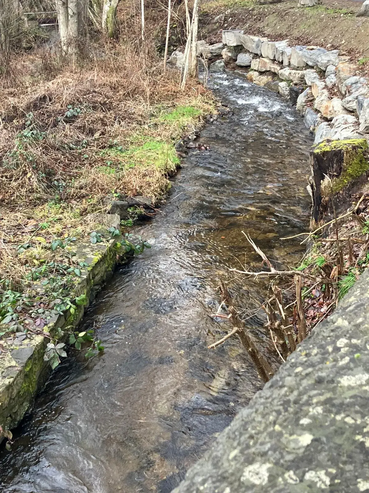 Wandeling afbeelding