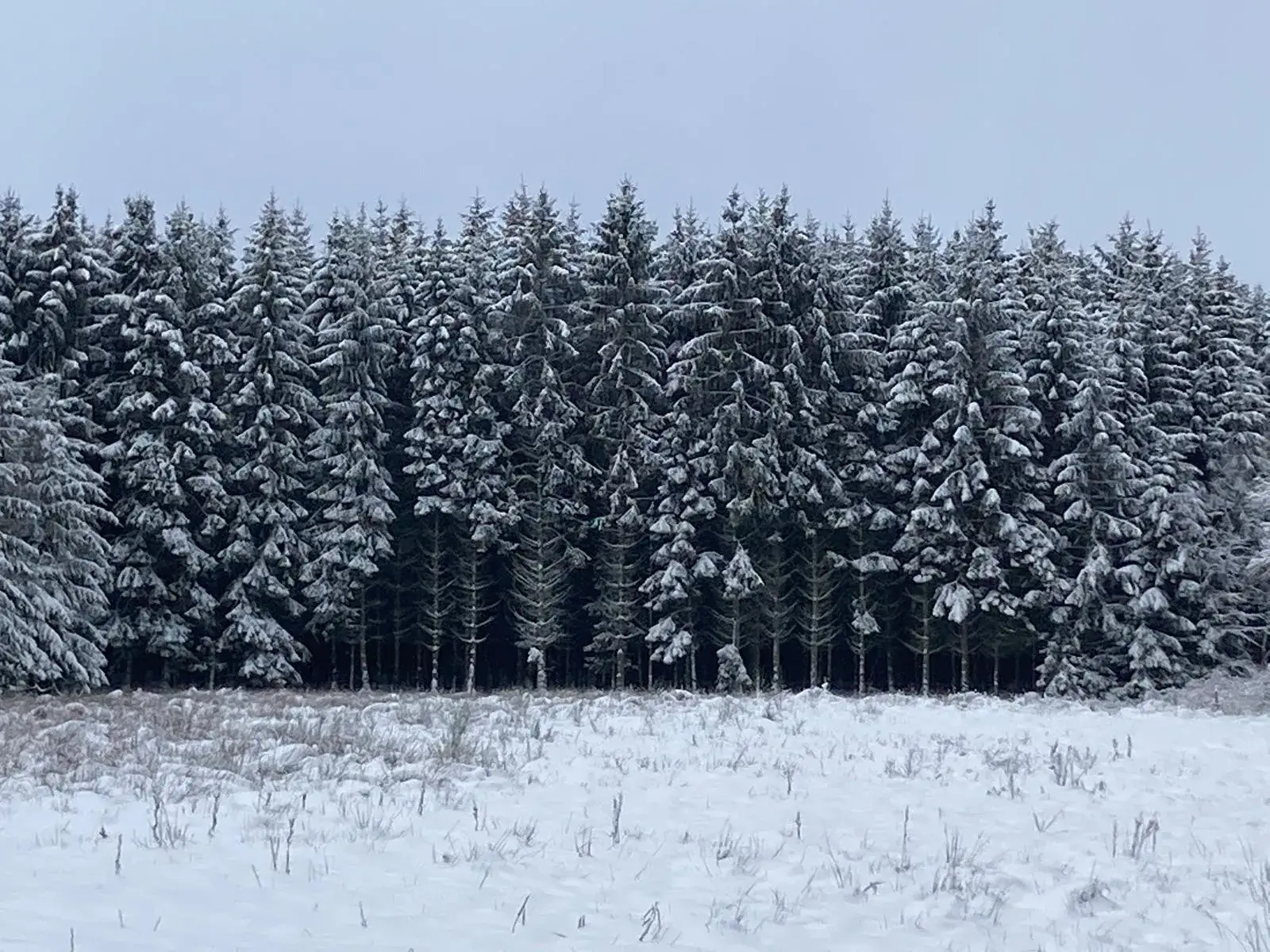 Wandeling afbeelding