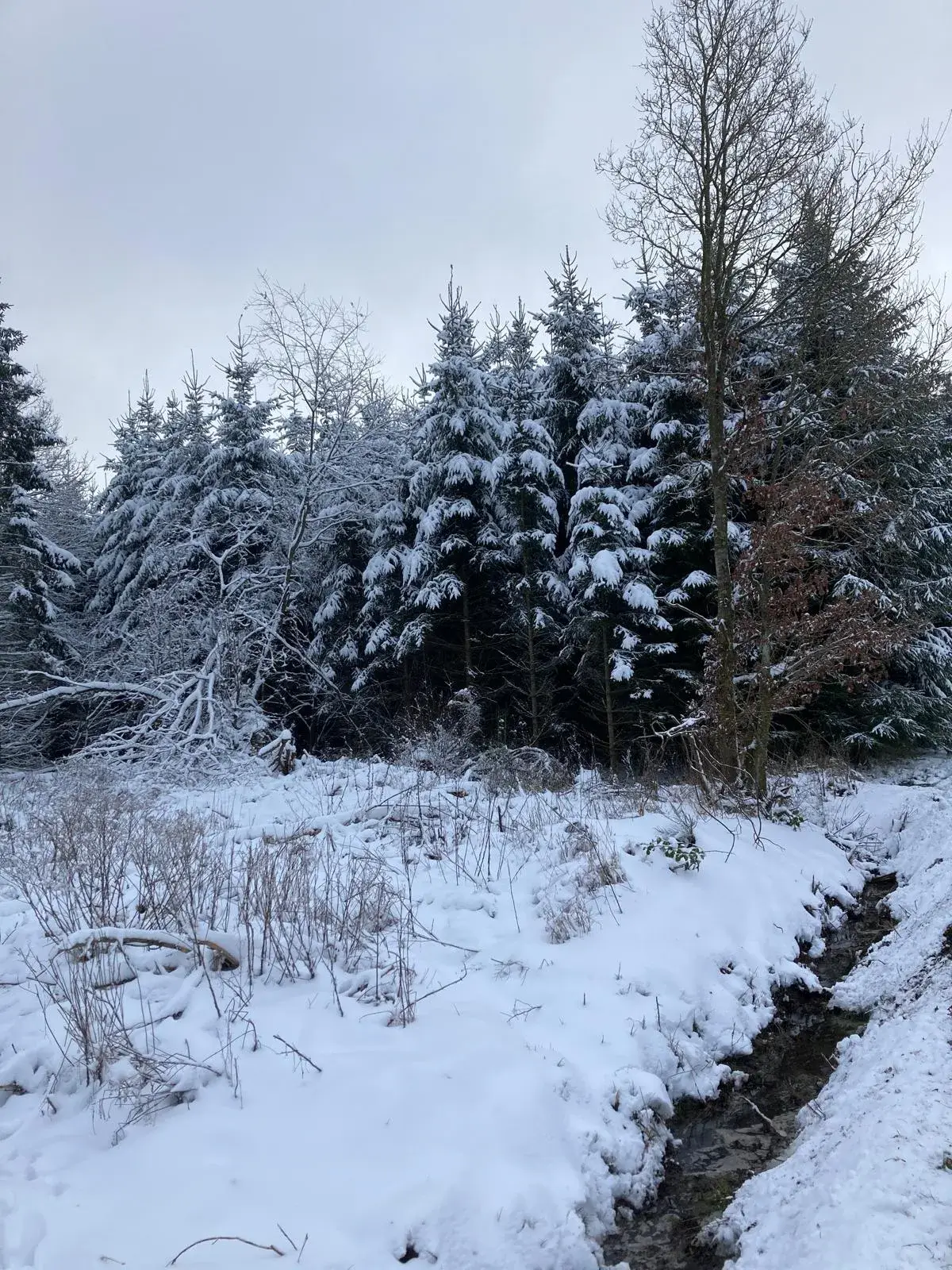 Wandeling afbeelding