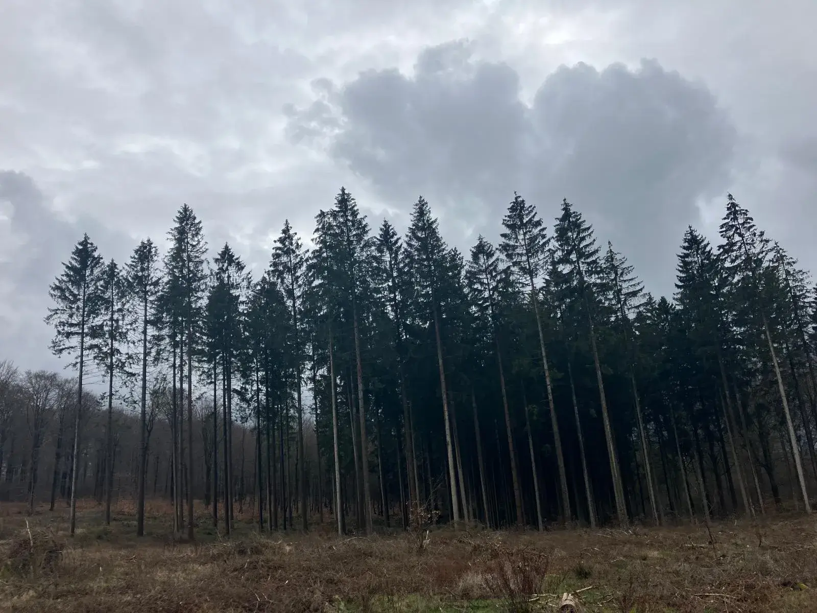 Wandeling afbeelding
