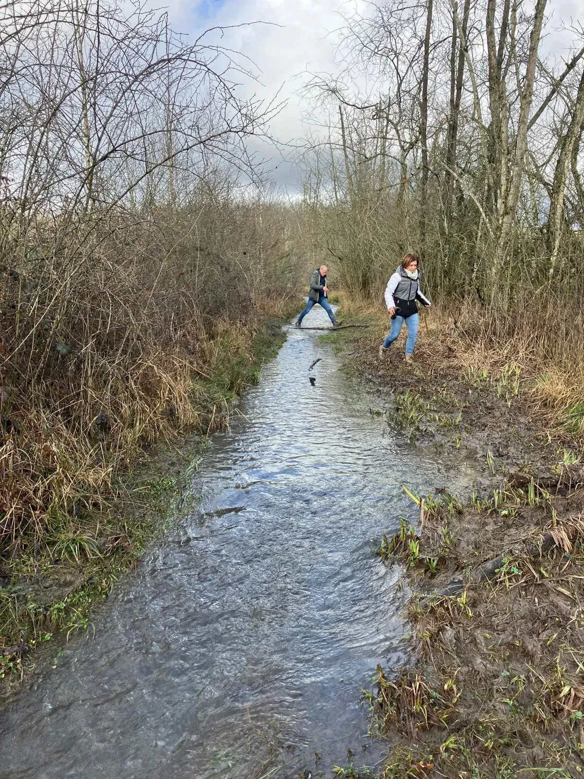 Wandeling afbeelding