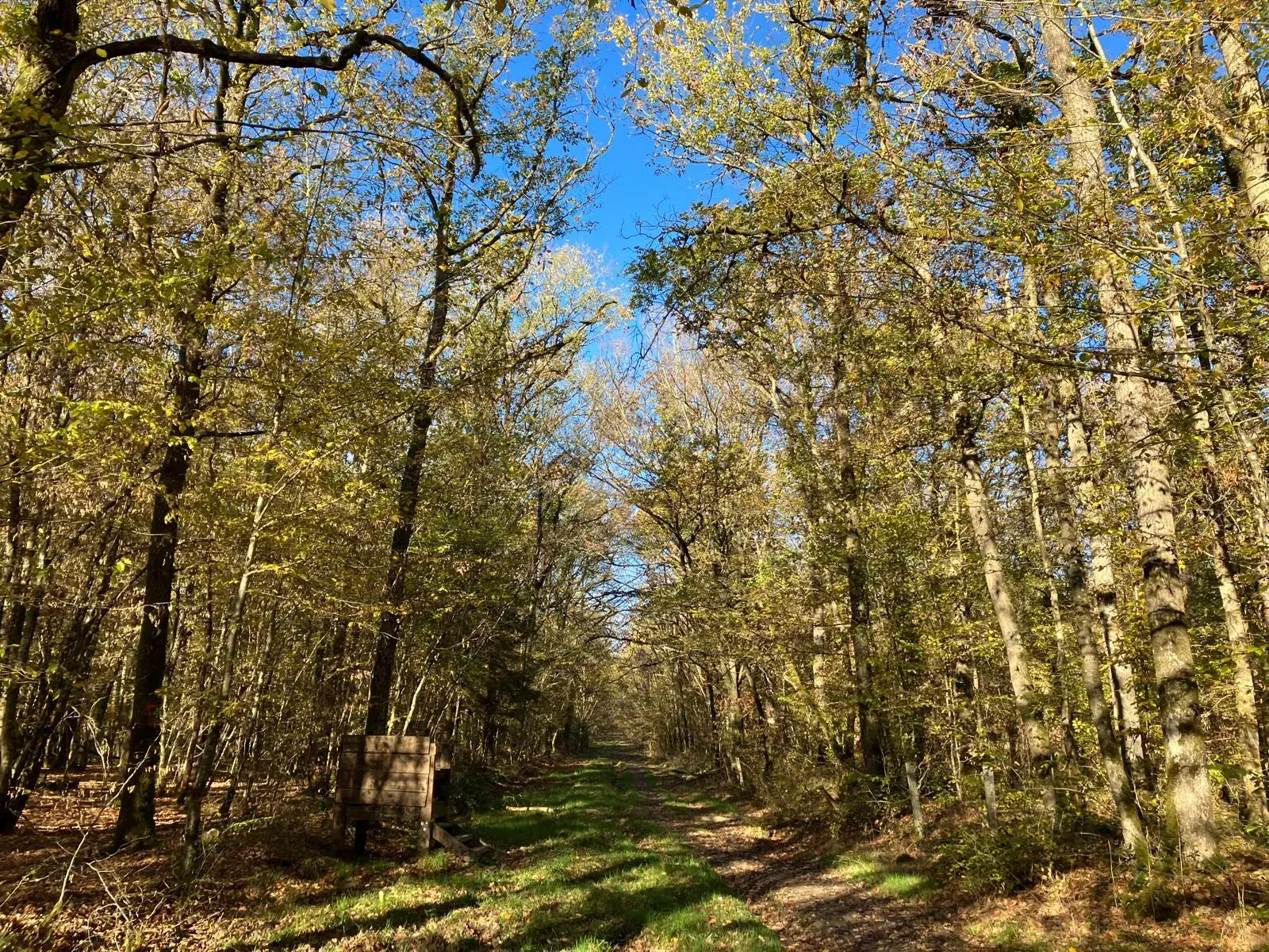 Wandeling afbeelding