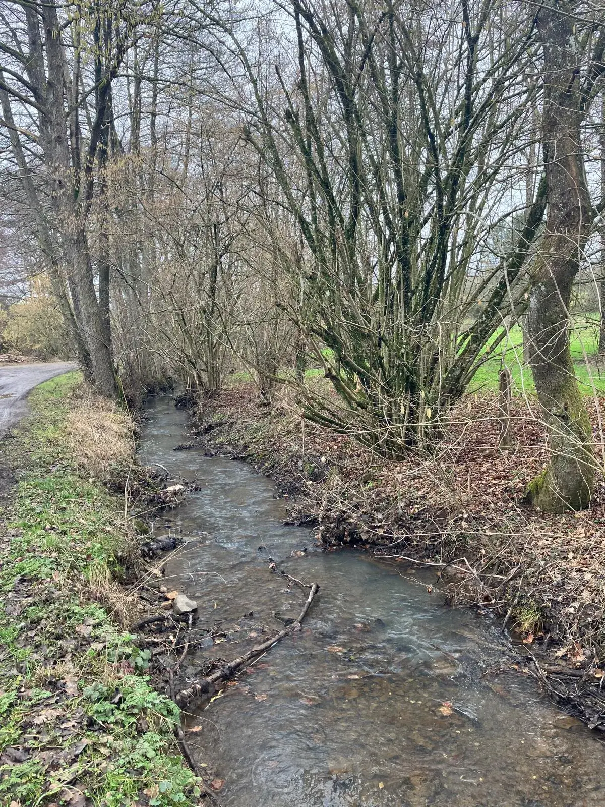 Wandeling afbeelding