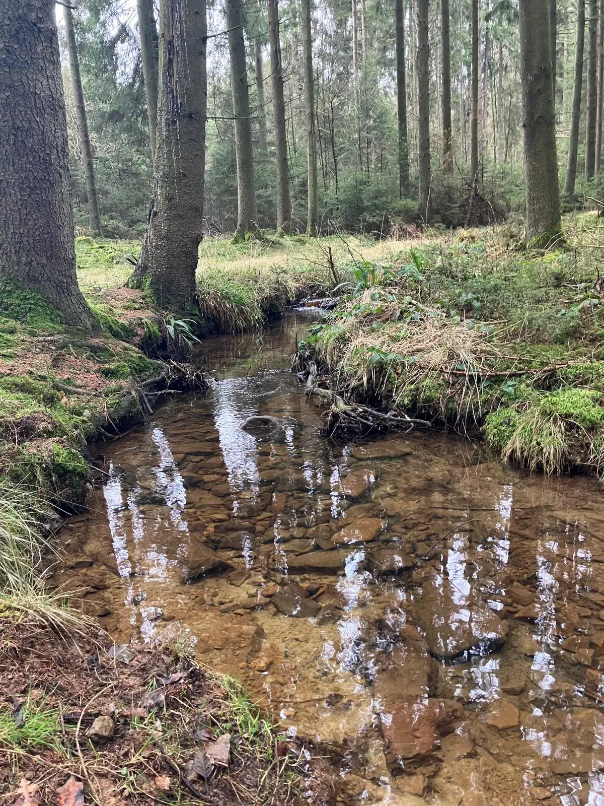 Wandeling afbeelding