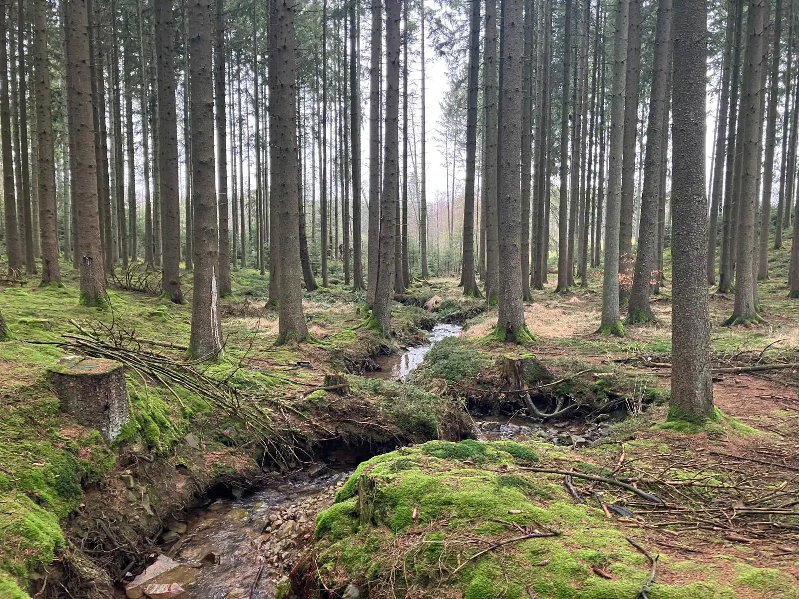 Wandeling afbeelding