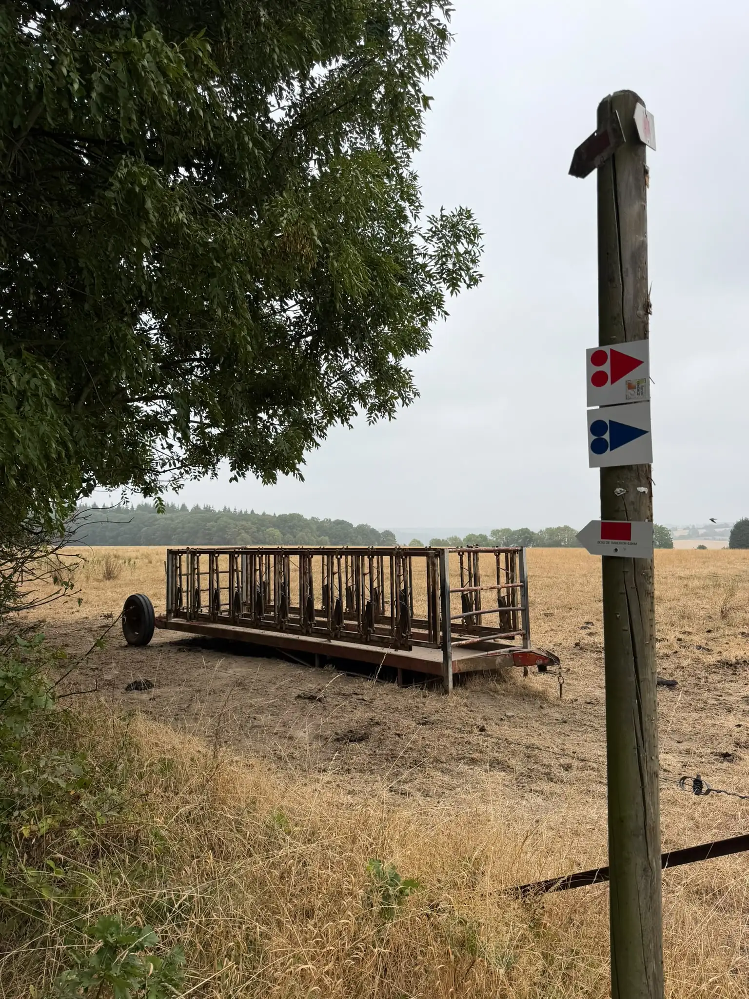Wandeling afbeelding