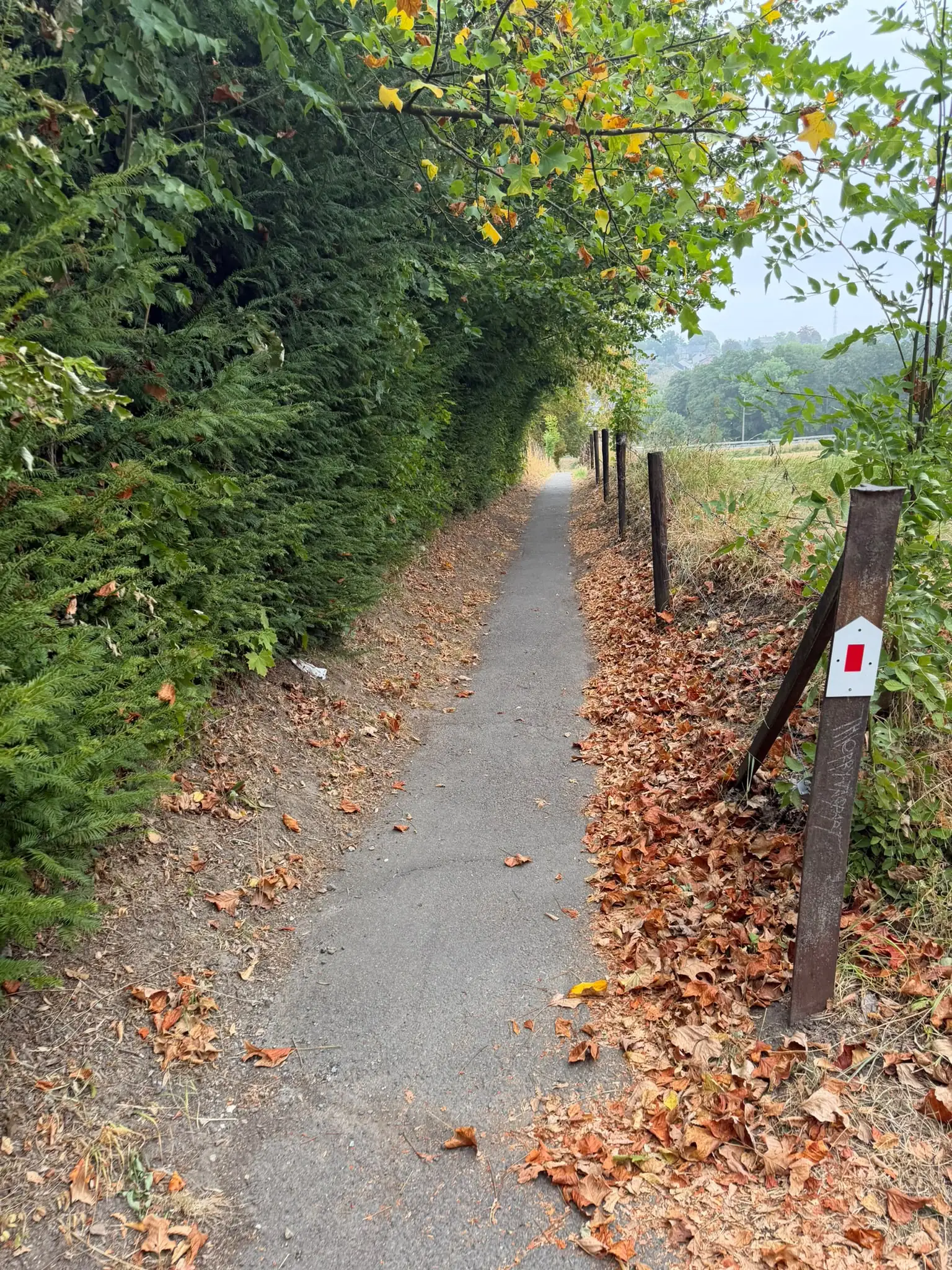Wandeling afbeelding