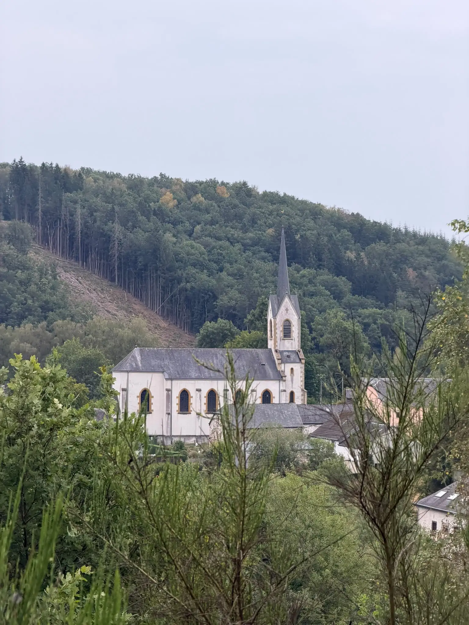 Wandeling afbeelding