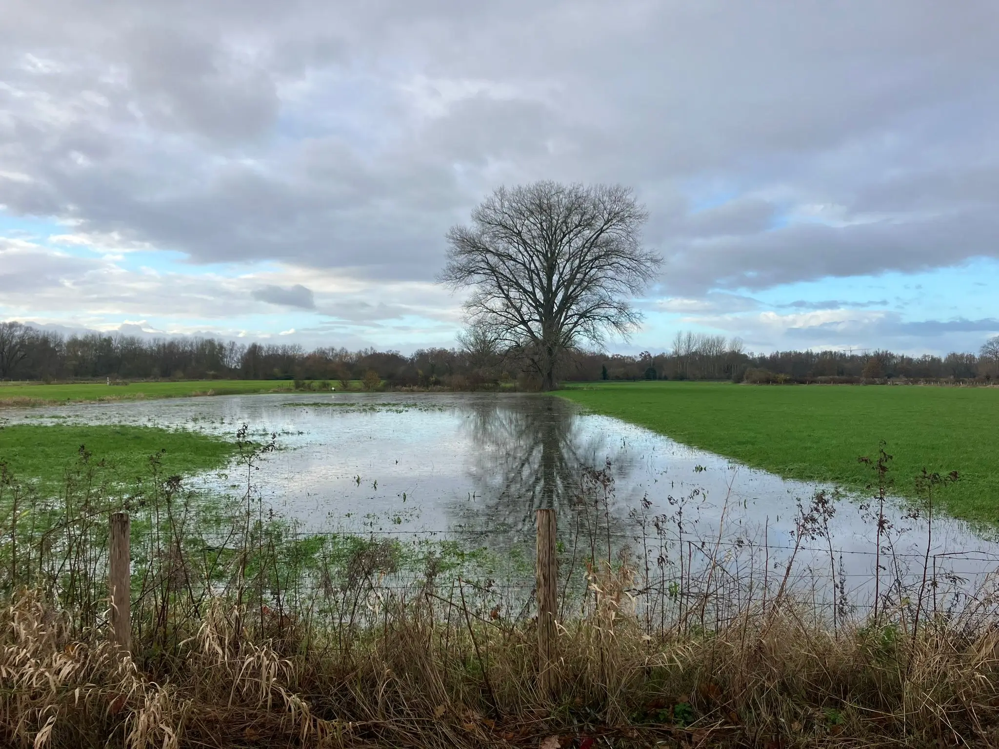 Wandeling afbeelding