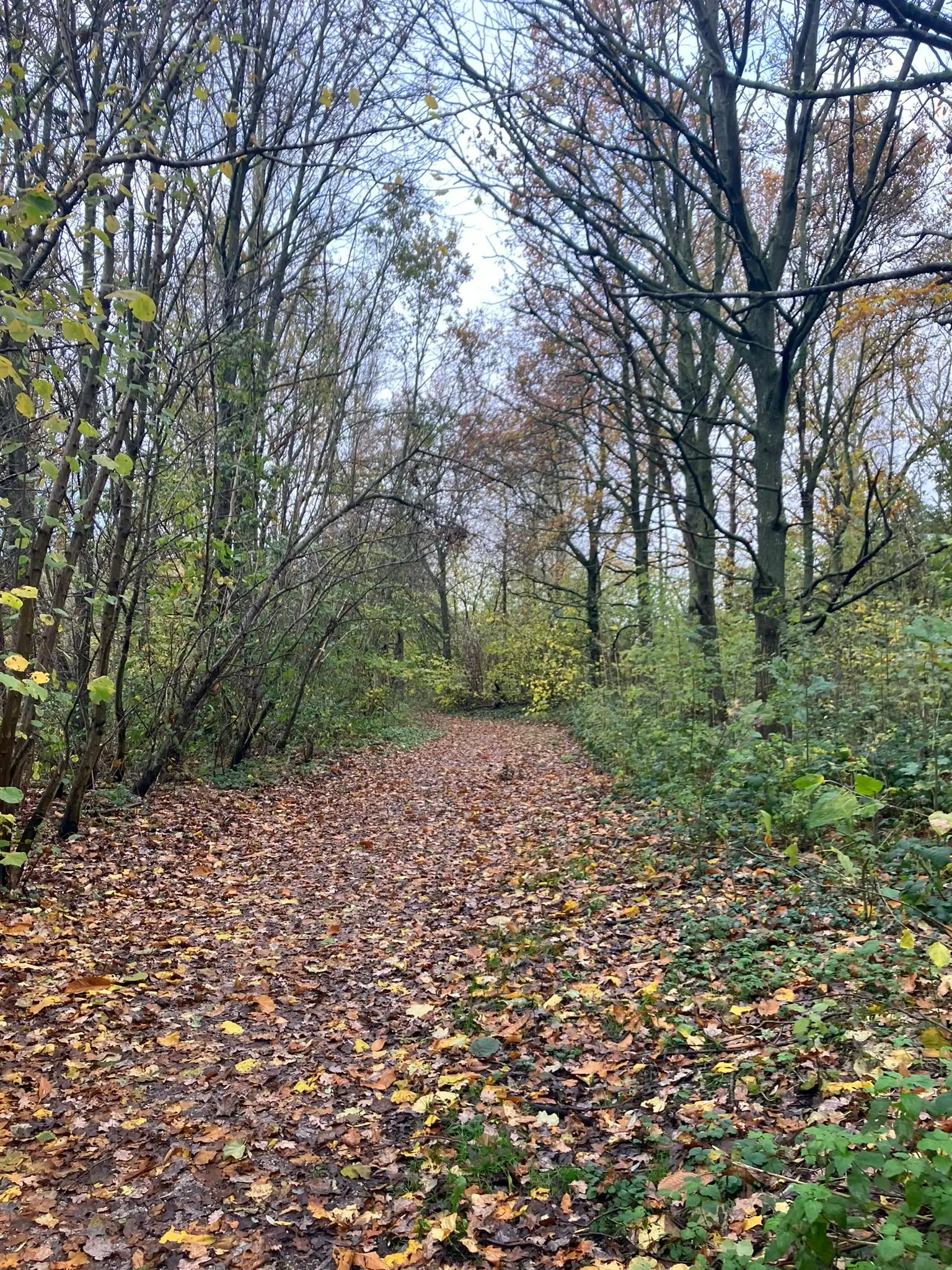 Wandeling afbeelding