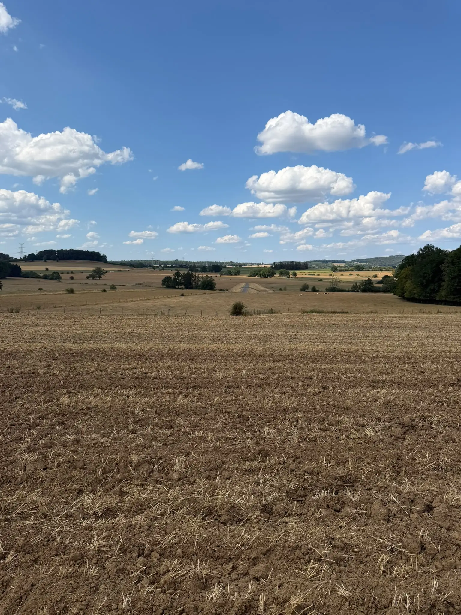 Wandeling afbeelding