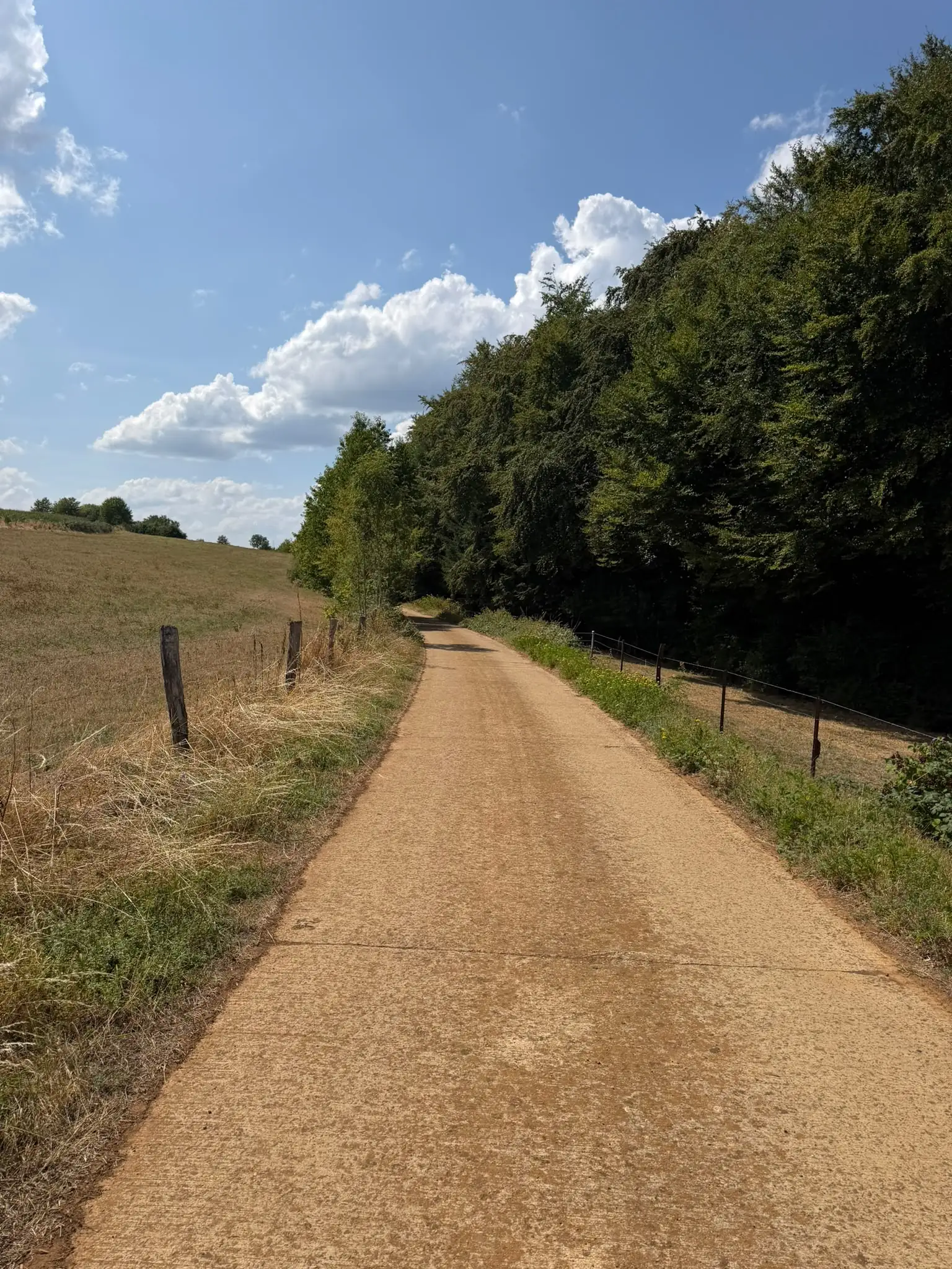 Wandeling afbeelding