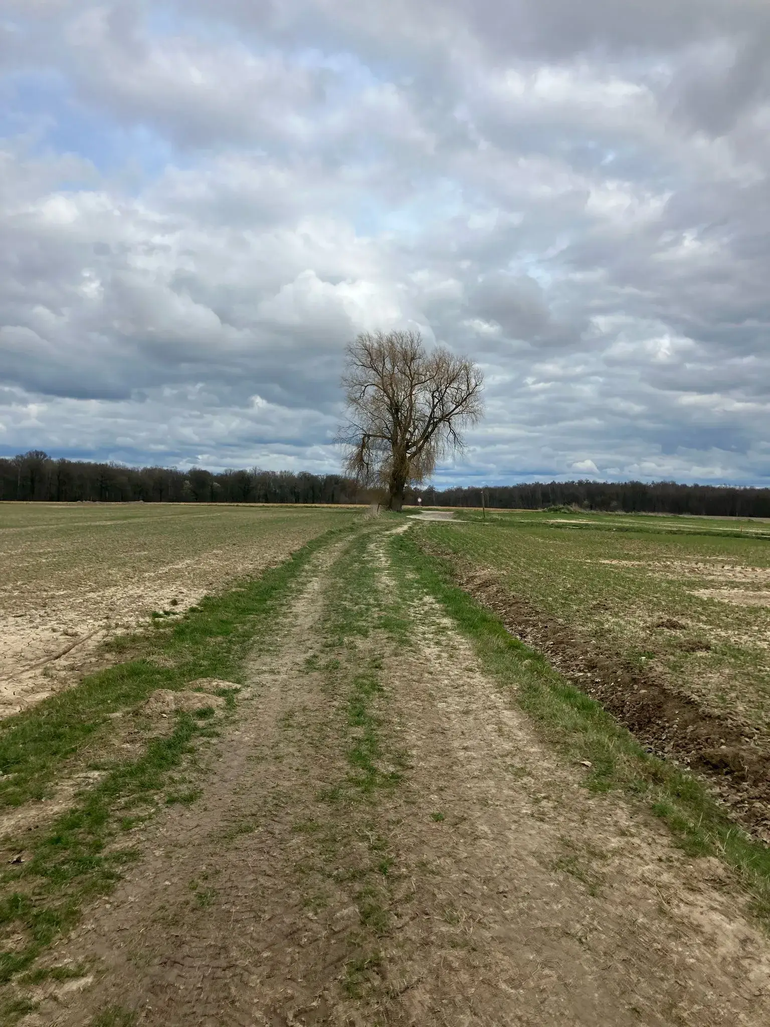 Foto 4 van de wandeling te Mettet