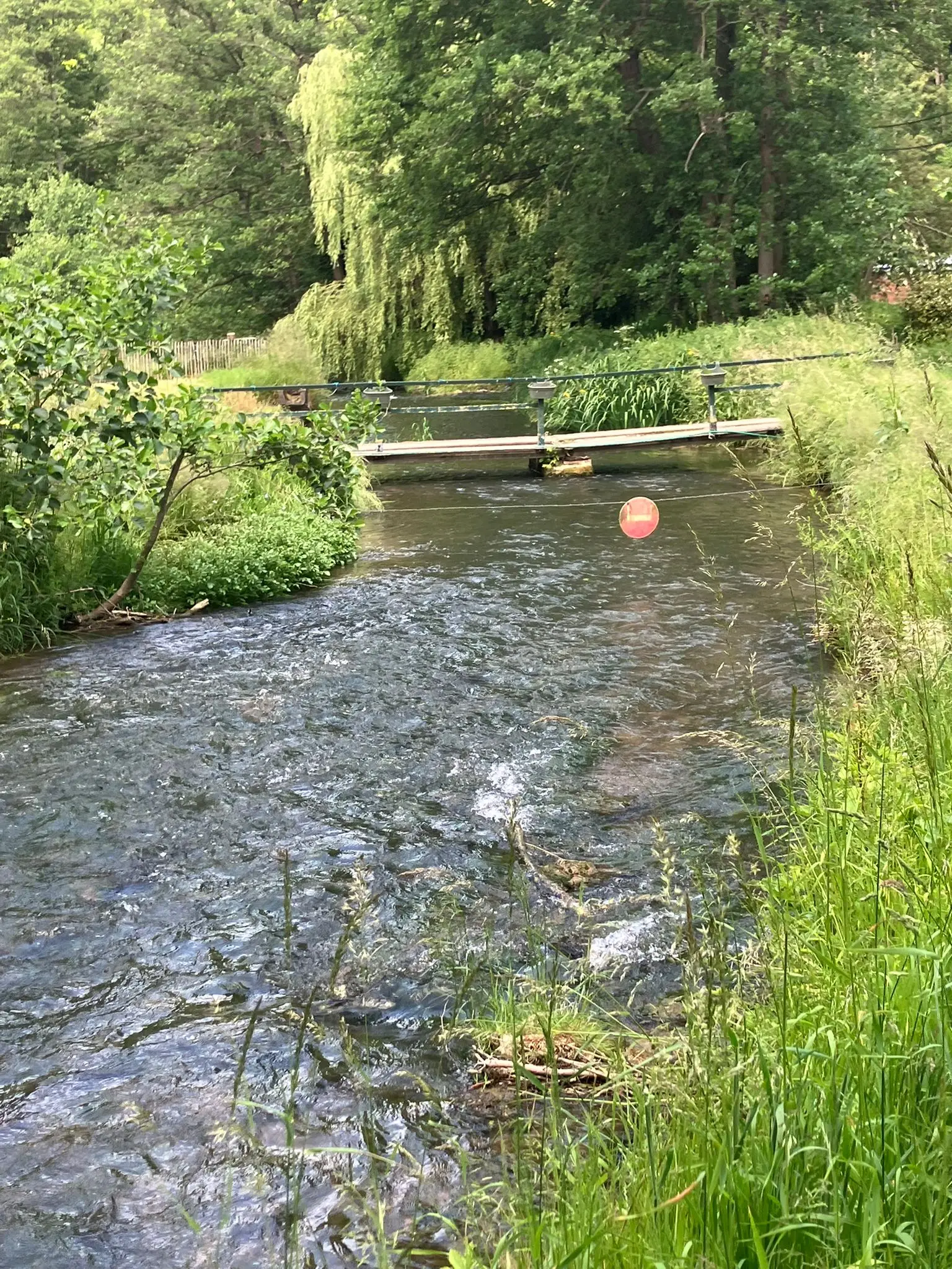 Wandeling afbeelding