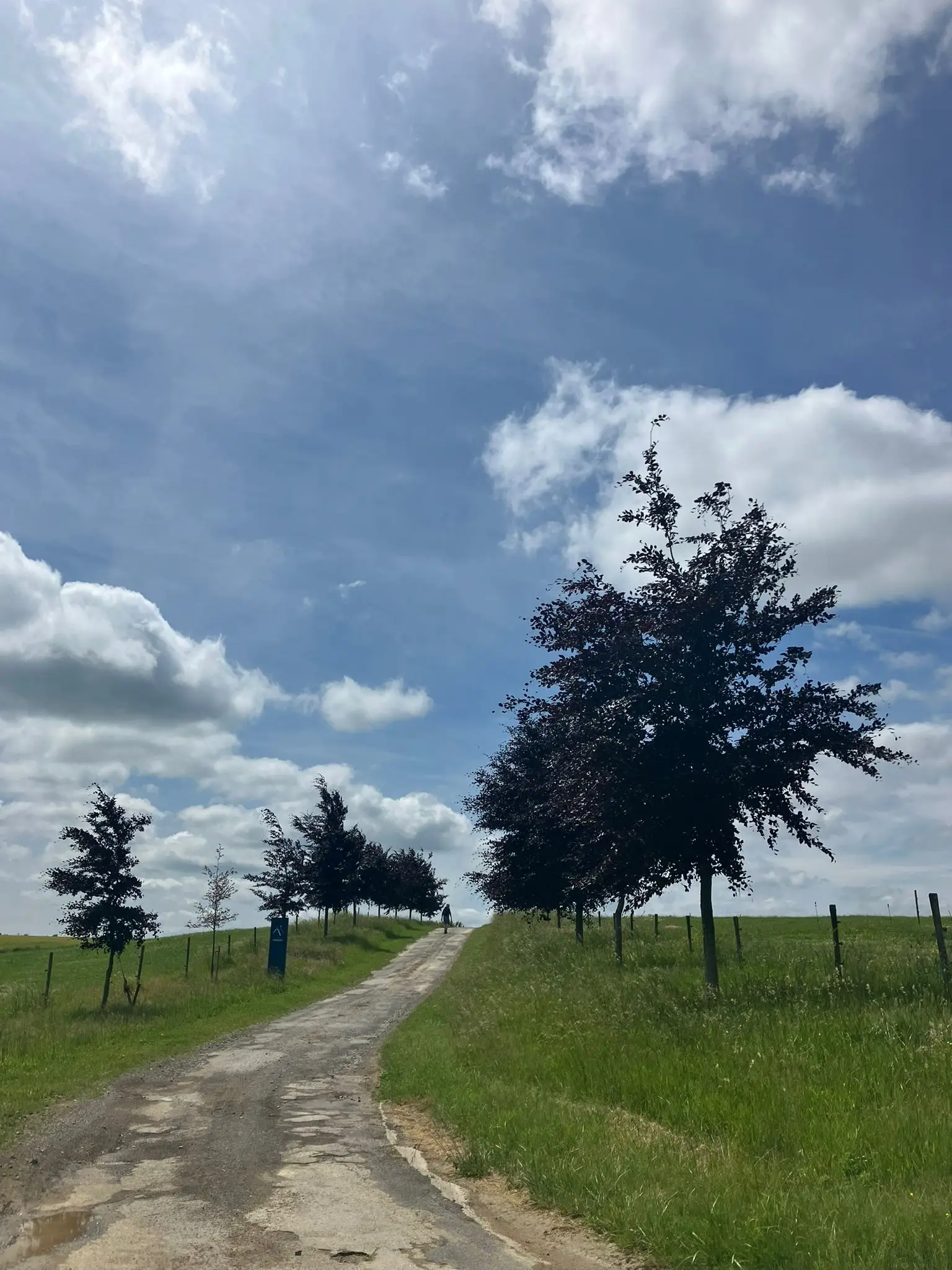 Wandeling afbeelding