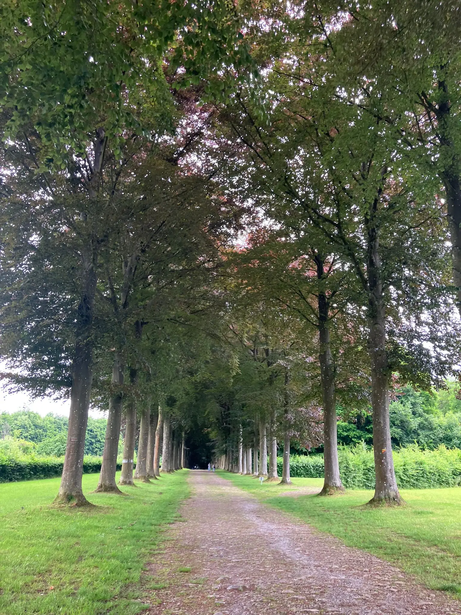 Wandeling afbeelding