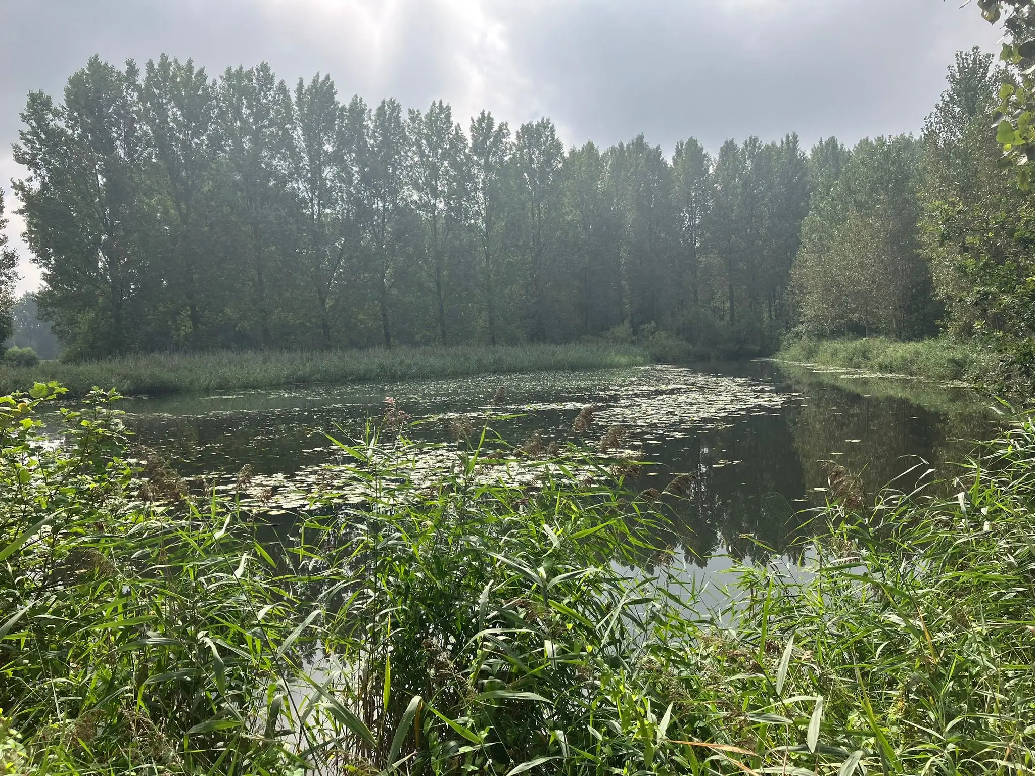 Wandeling afbeelding