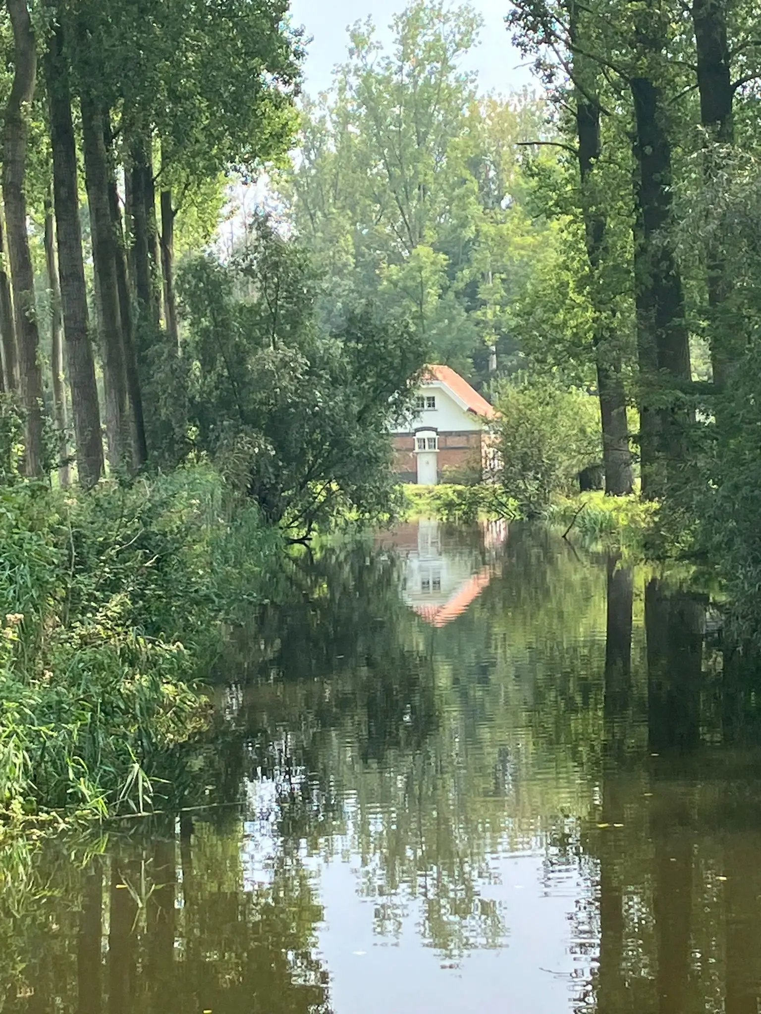 Wandeling afbeelding