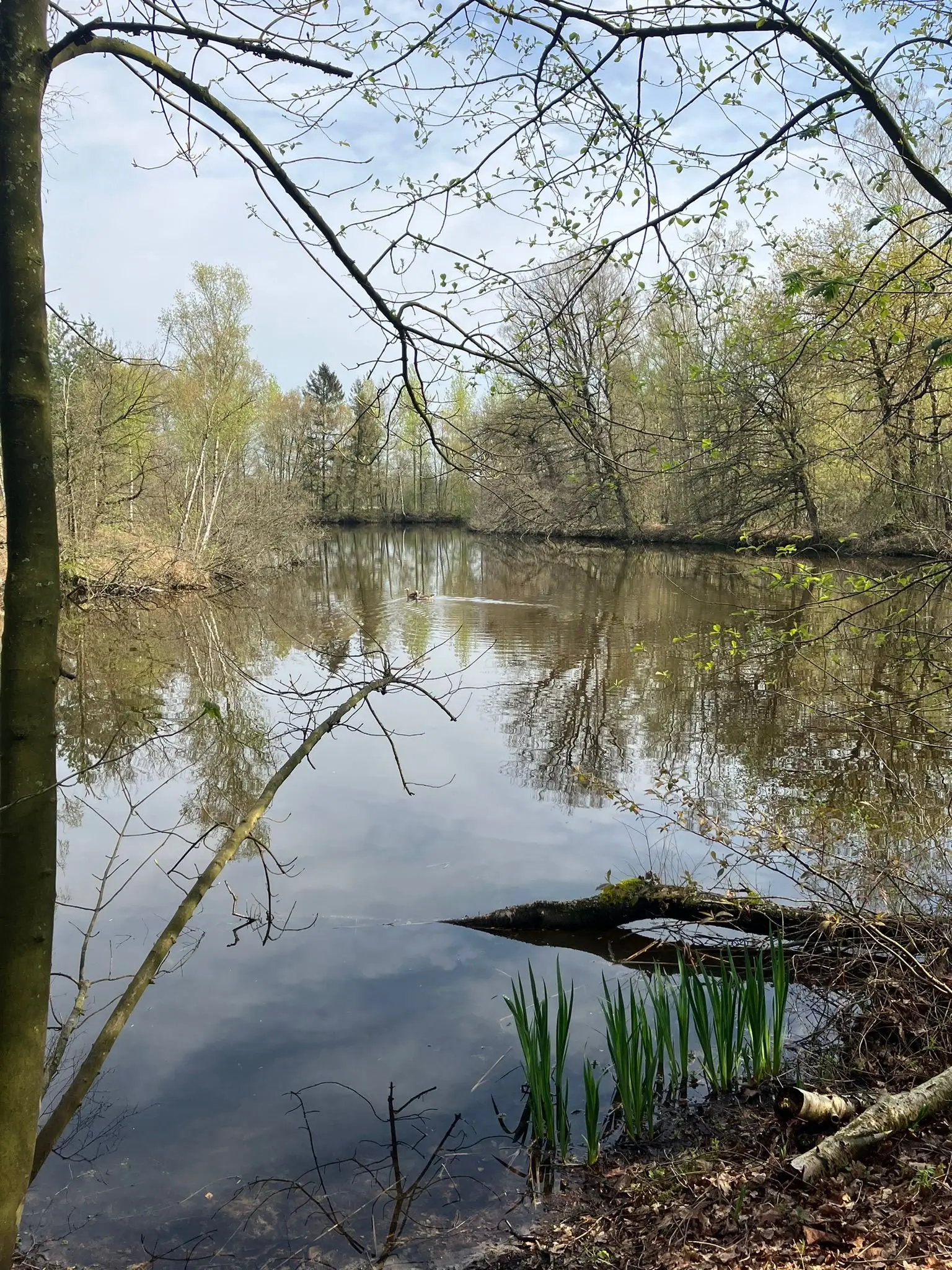 Wandeling afbeelding