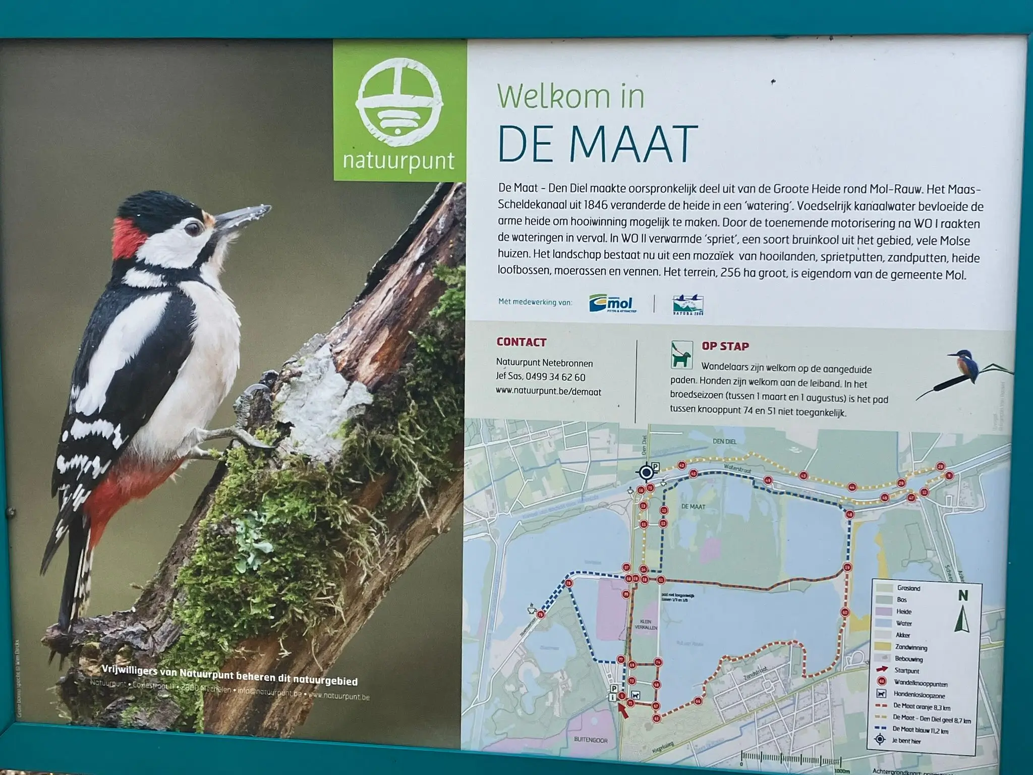 Wandeling afbeelding