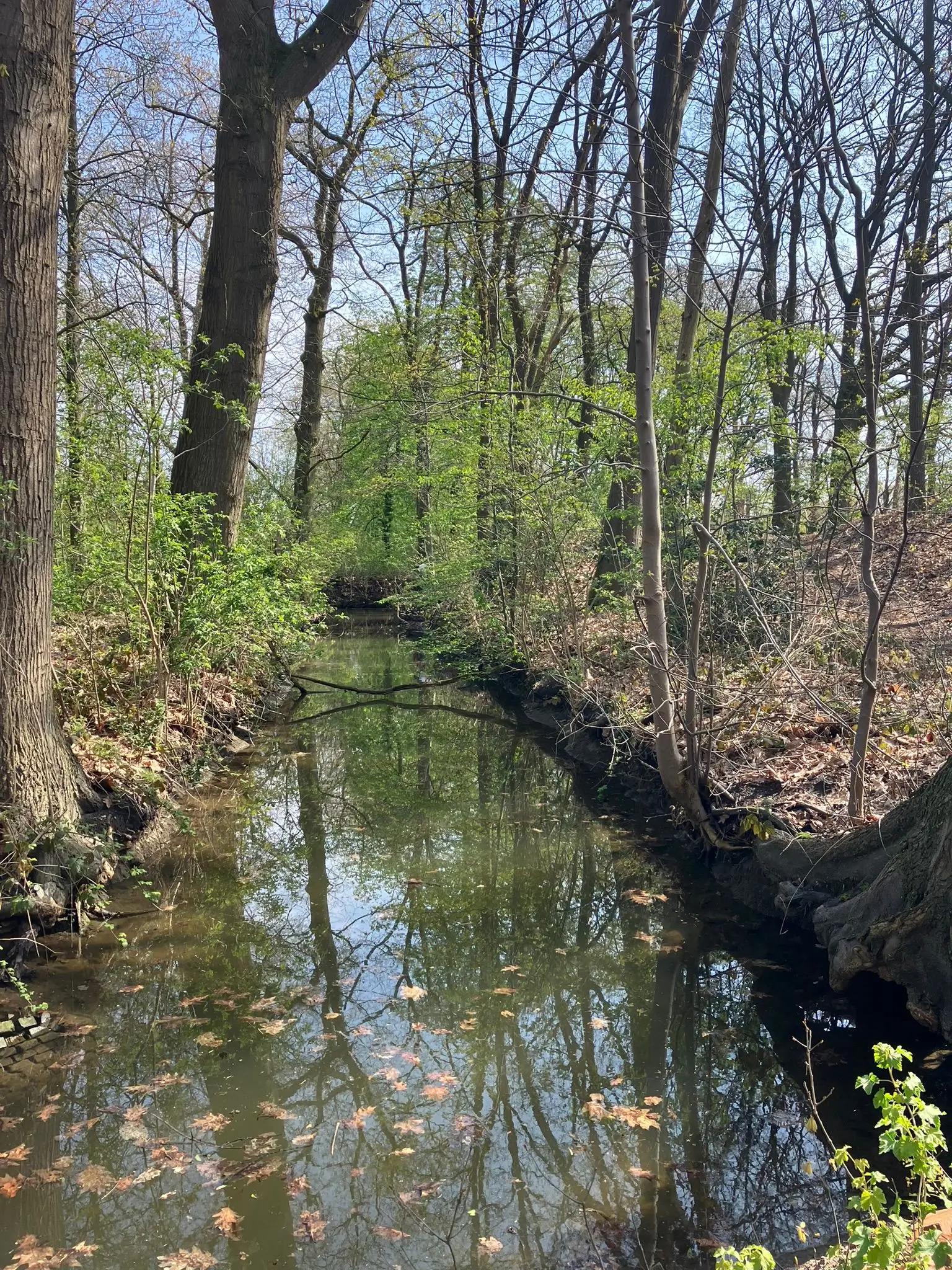 Wandeling afbeelding