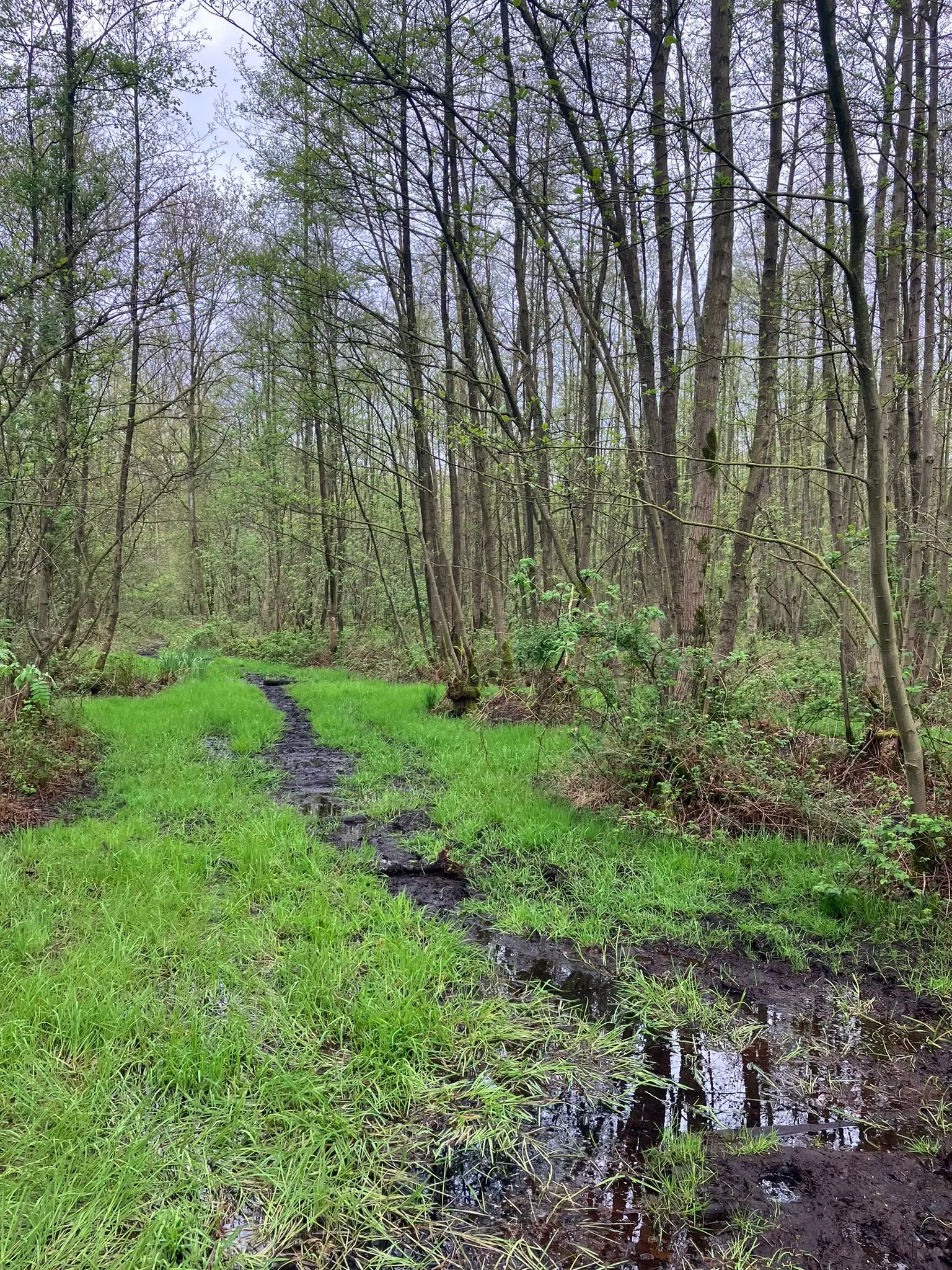Wandeling afbeelding