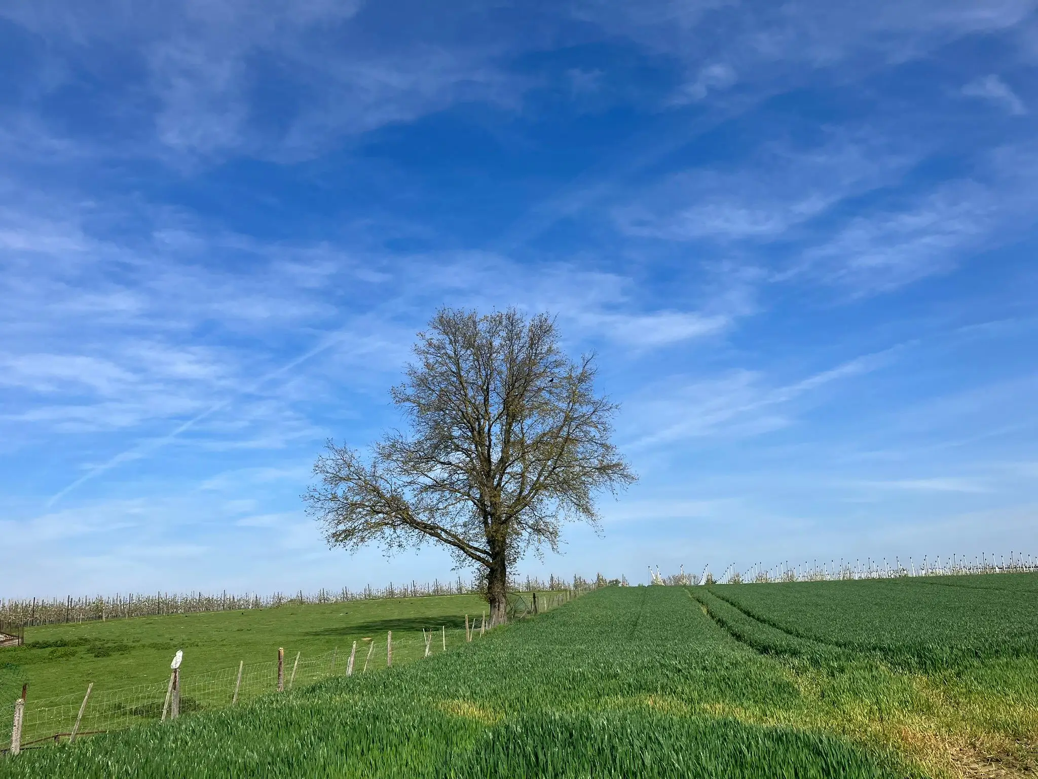 Wandeling afbeelding