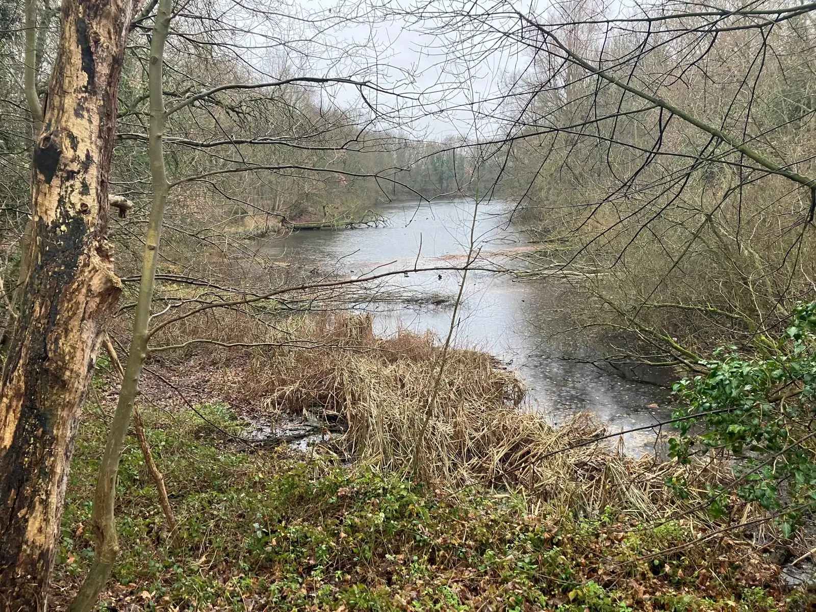 Wandeling afbeelding