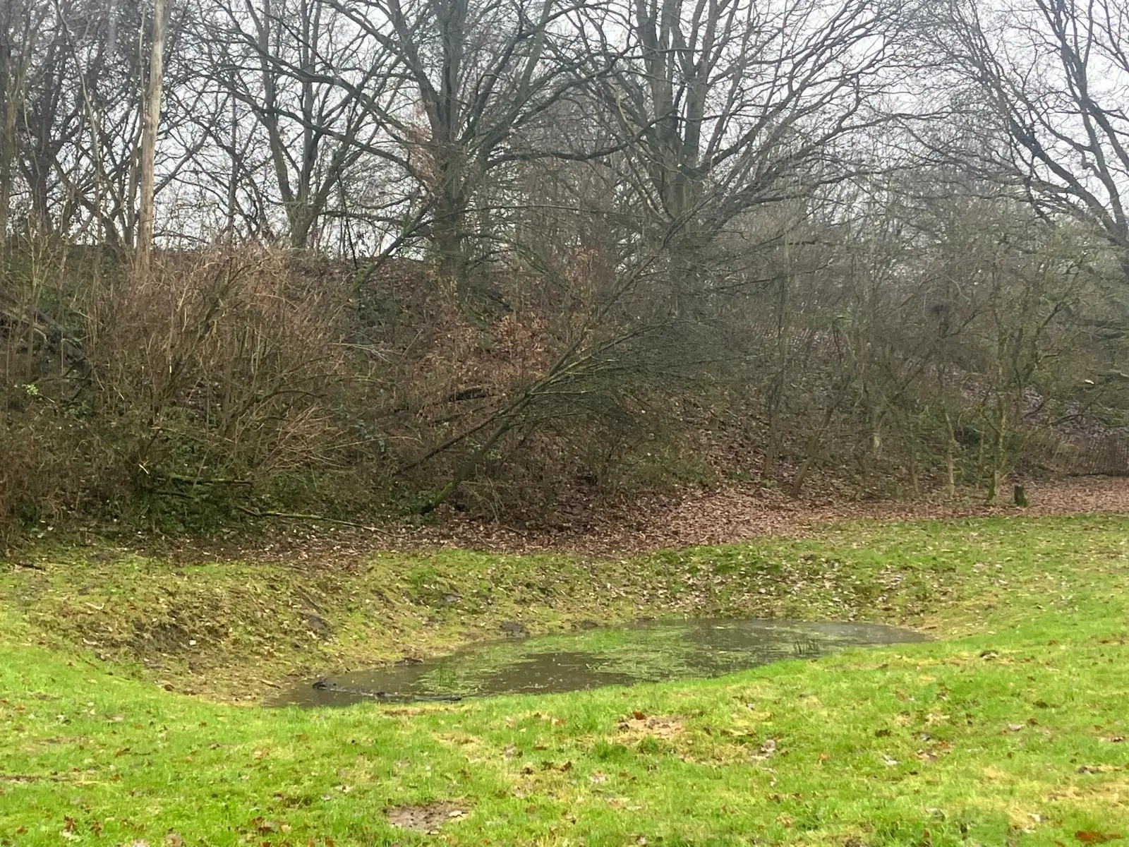 Wandeling afbeelding