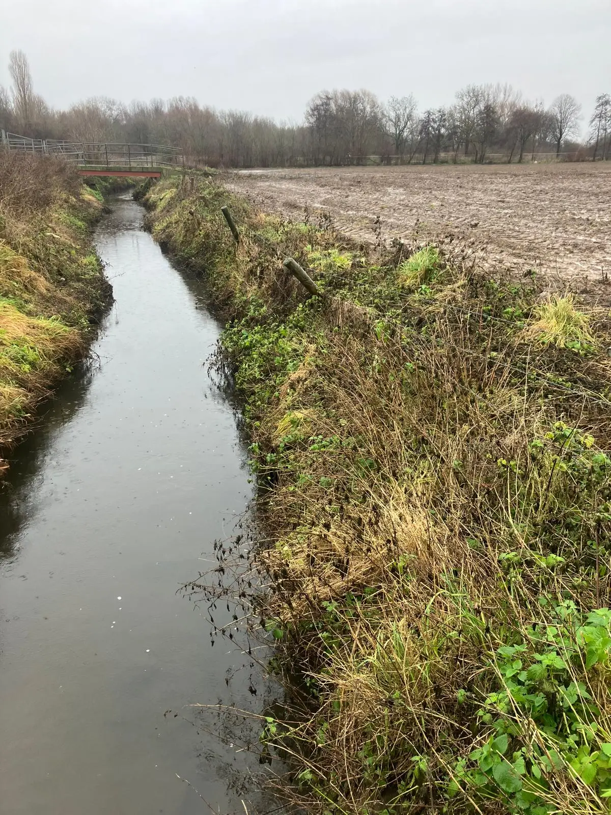 Wandeling afbeelding