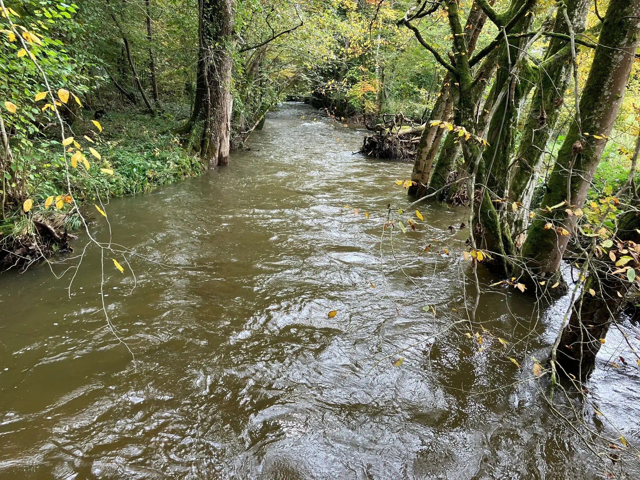 Wandeling afbeelding