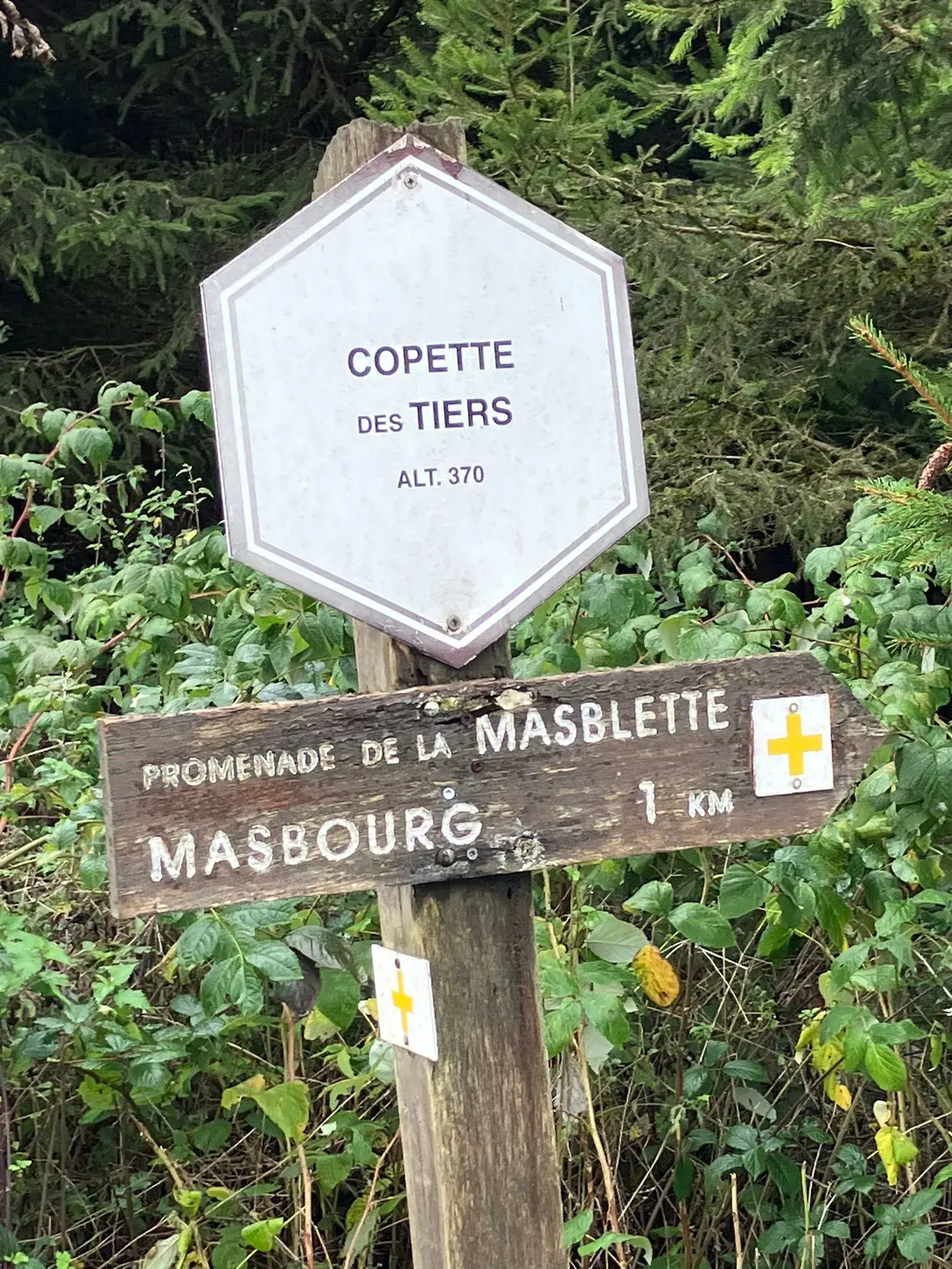 Wandeling afbeelding
