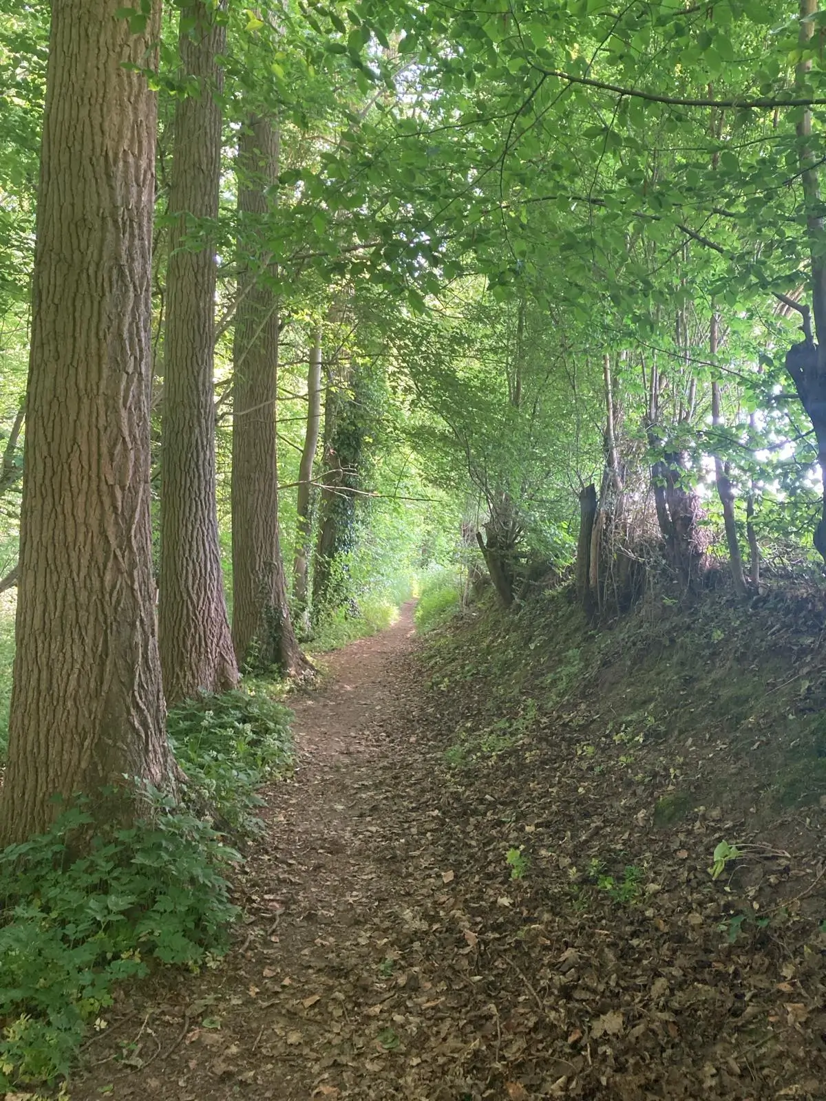 Wandeling afbeelding