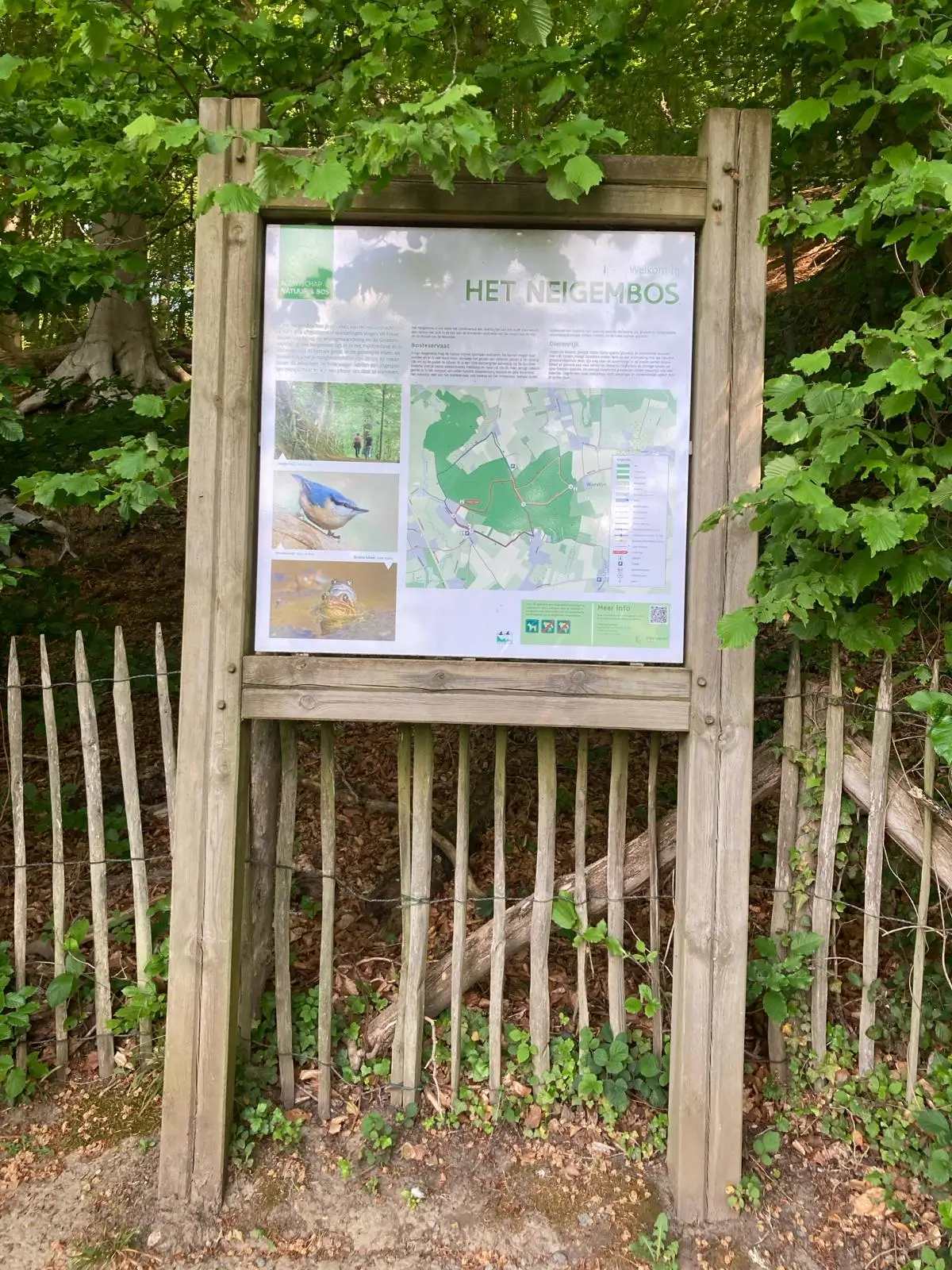 Wandeling afbeelding